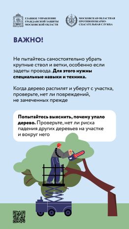 Аварийные деревья_Вертикаль-07.jpg
