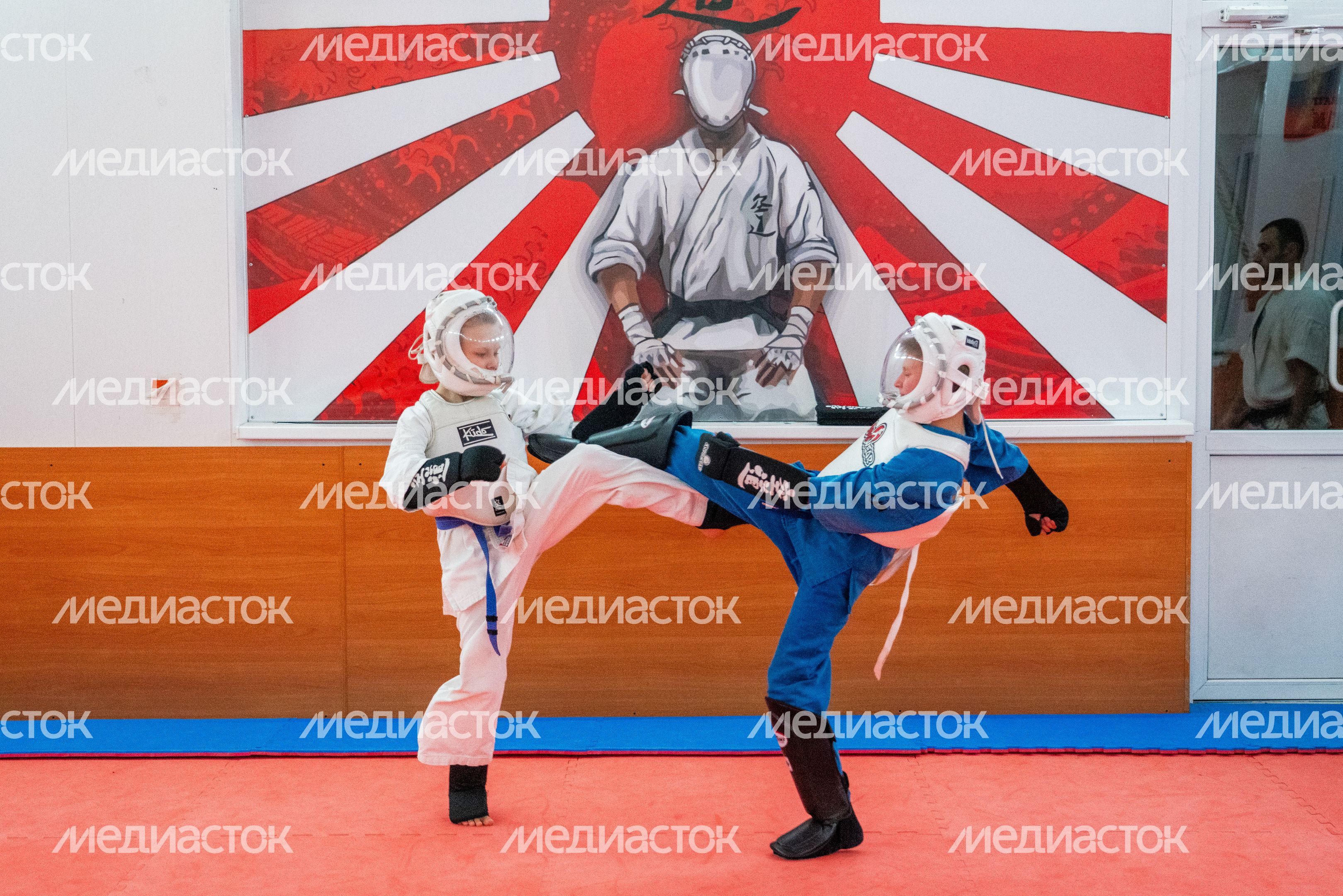 Открытая тренировка Федерации кудо Московской области в Красногорске Открытая тренировка Федерации кудо Московской области в Красногорске