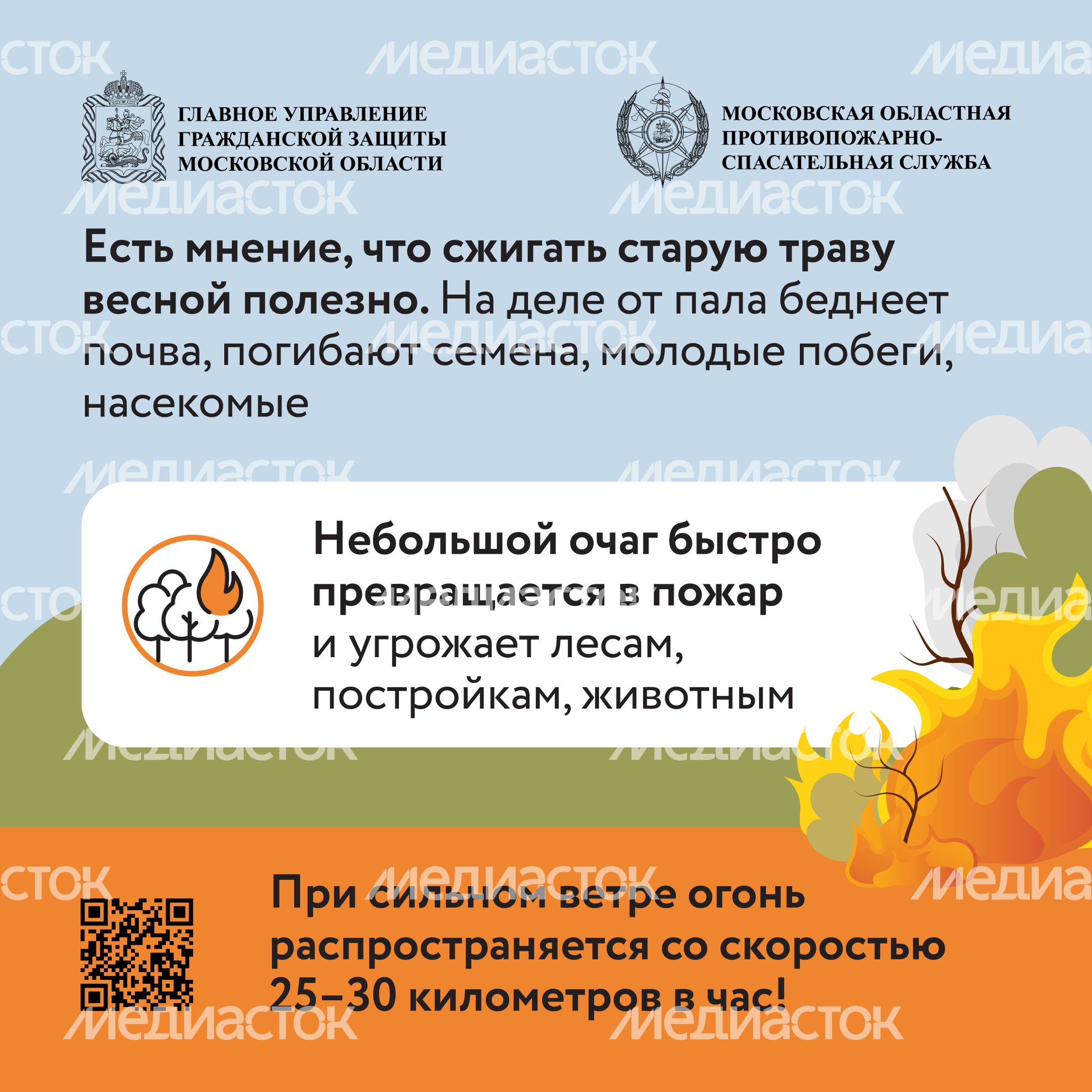 Пал травы-2024_Квадрат-02