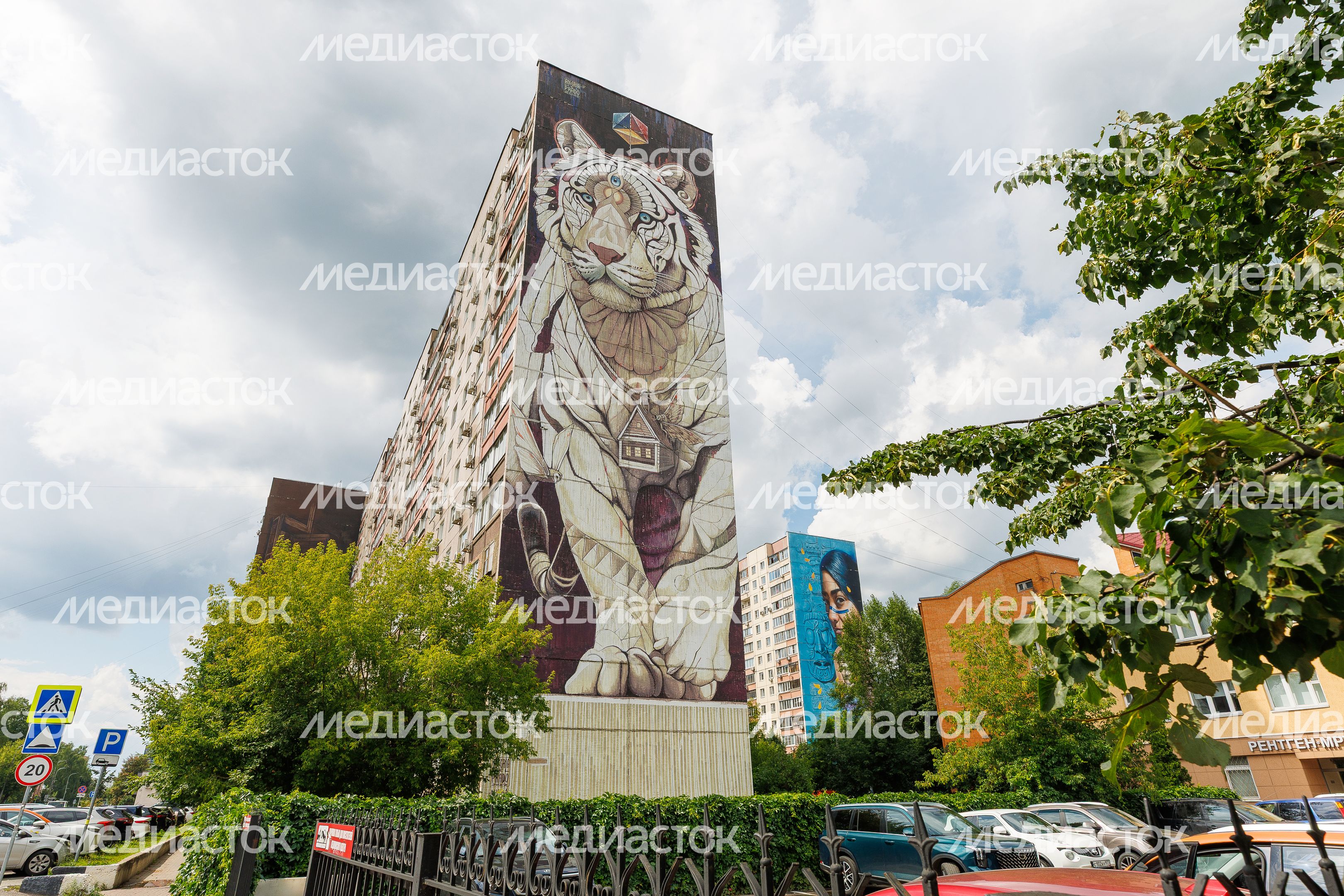Муралы в Железнодорожном, Балашиха