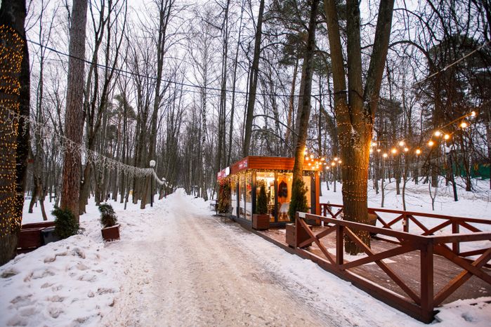 Красногорский городской парк зимой