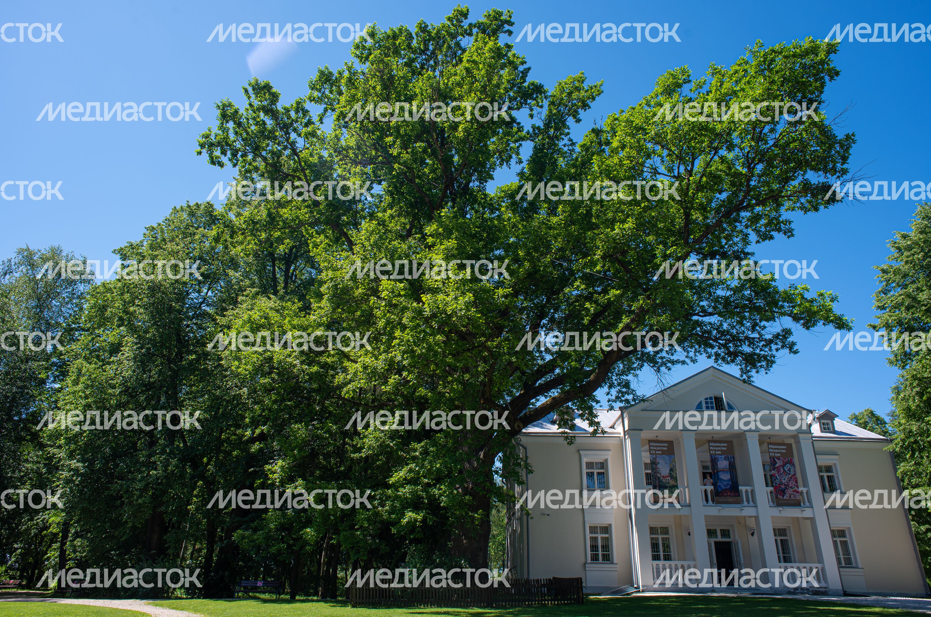 Летние виды Музея-заповедника «Абрамцево»