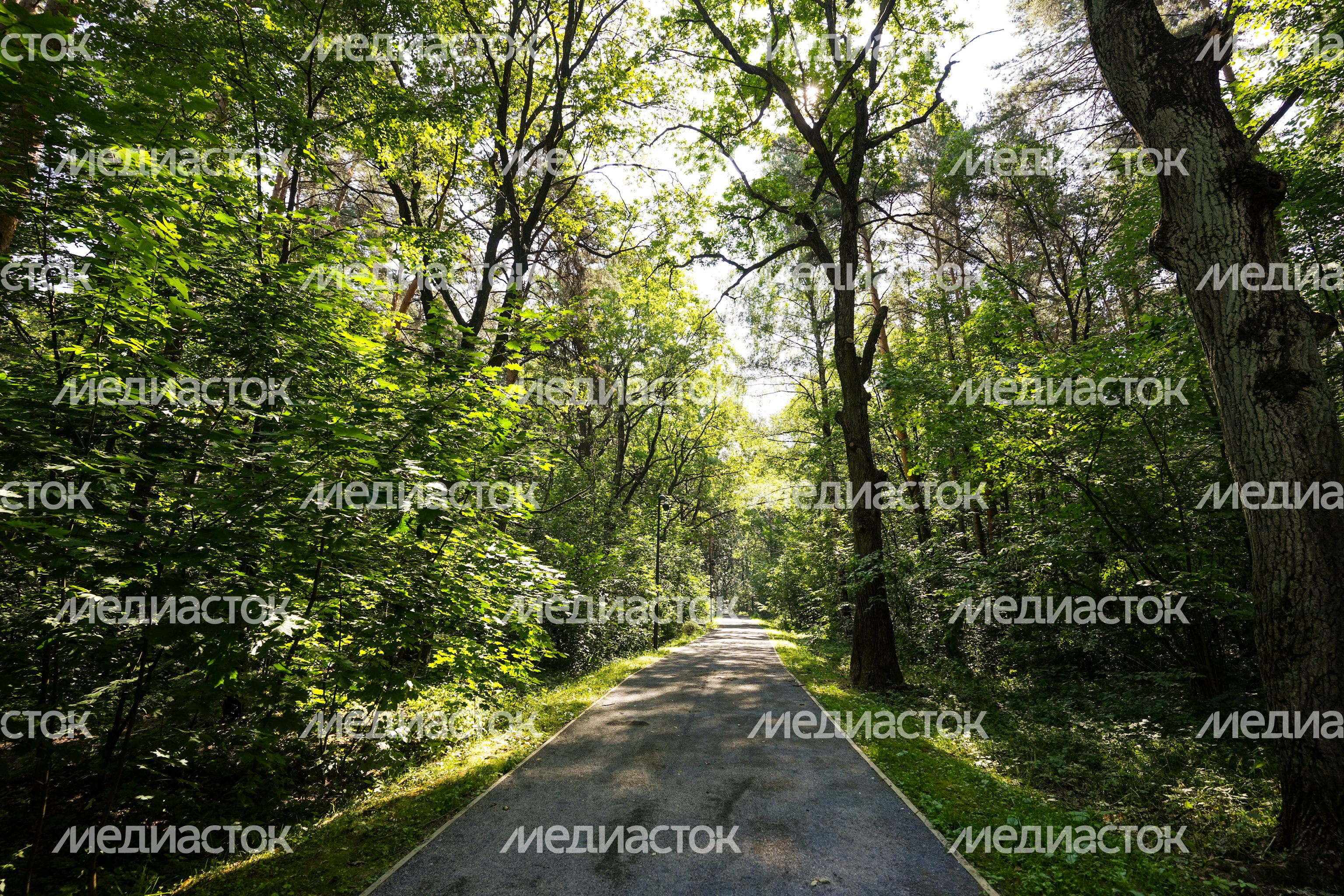 Лесопарк "Чемпион" в Дзержинском