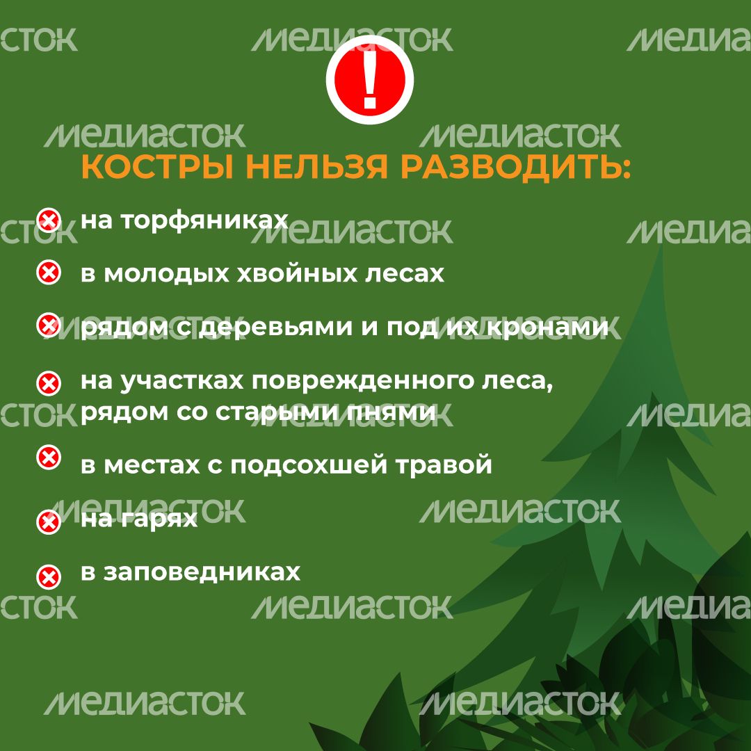 комлесхоз_костер_кв_4.jpg