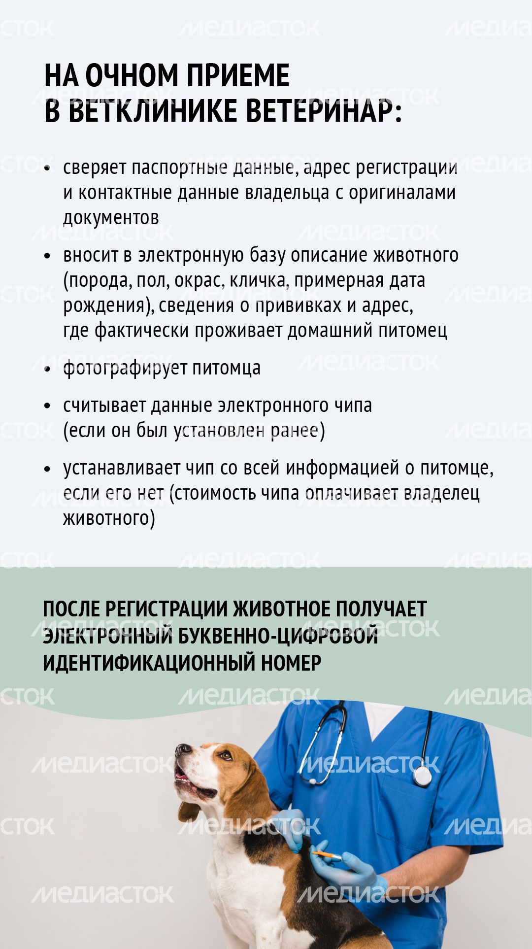 Зарегистрировать домашнее животное ред 2-вертикаль-07.png