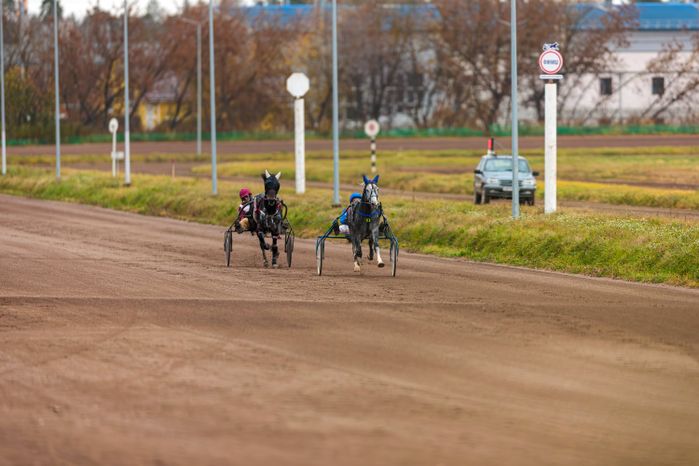 Рысистые бега на Раменском ипподроме