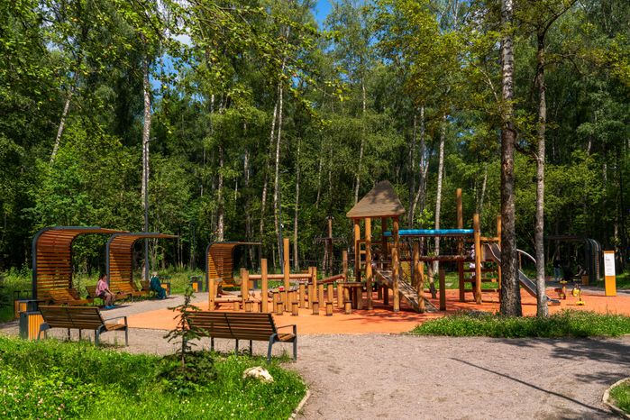 Губернский лесопарк в Чехове летом