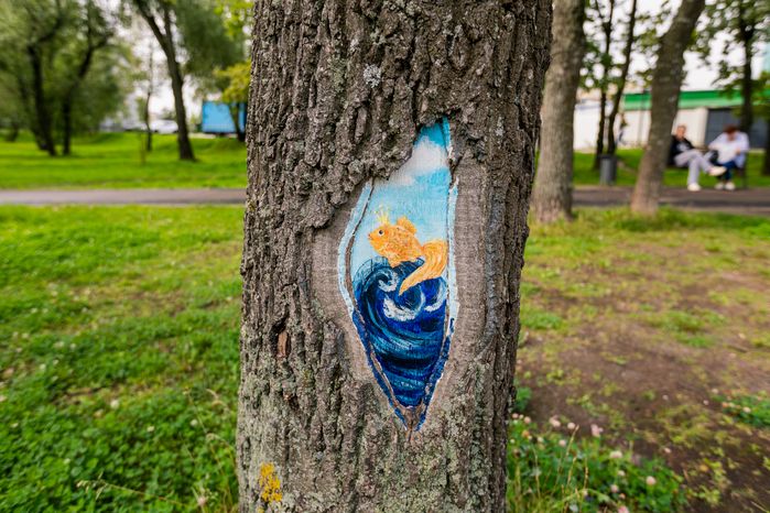 Парк "Фабричный пруд" в Реутове. Лето