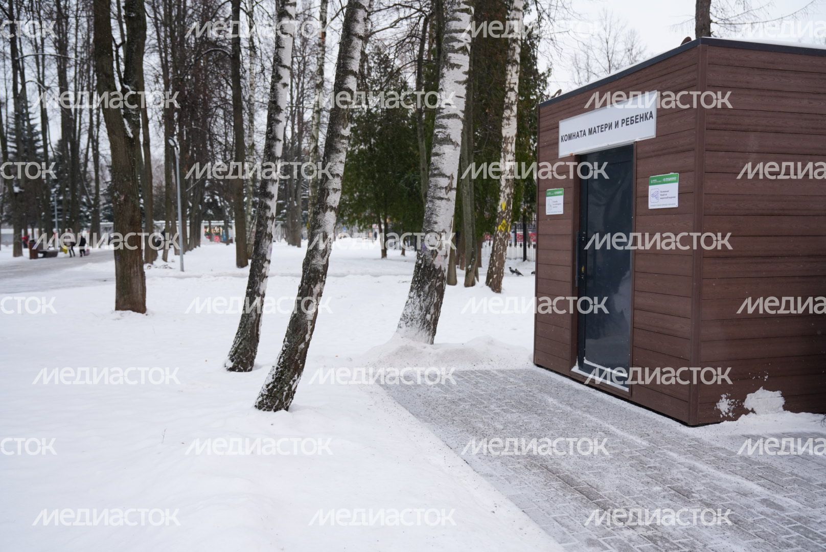 Проверка Губернатором Центрального парка культуры и отдыха в Пушкино
