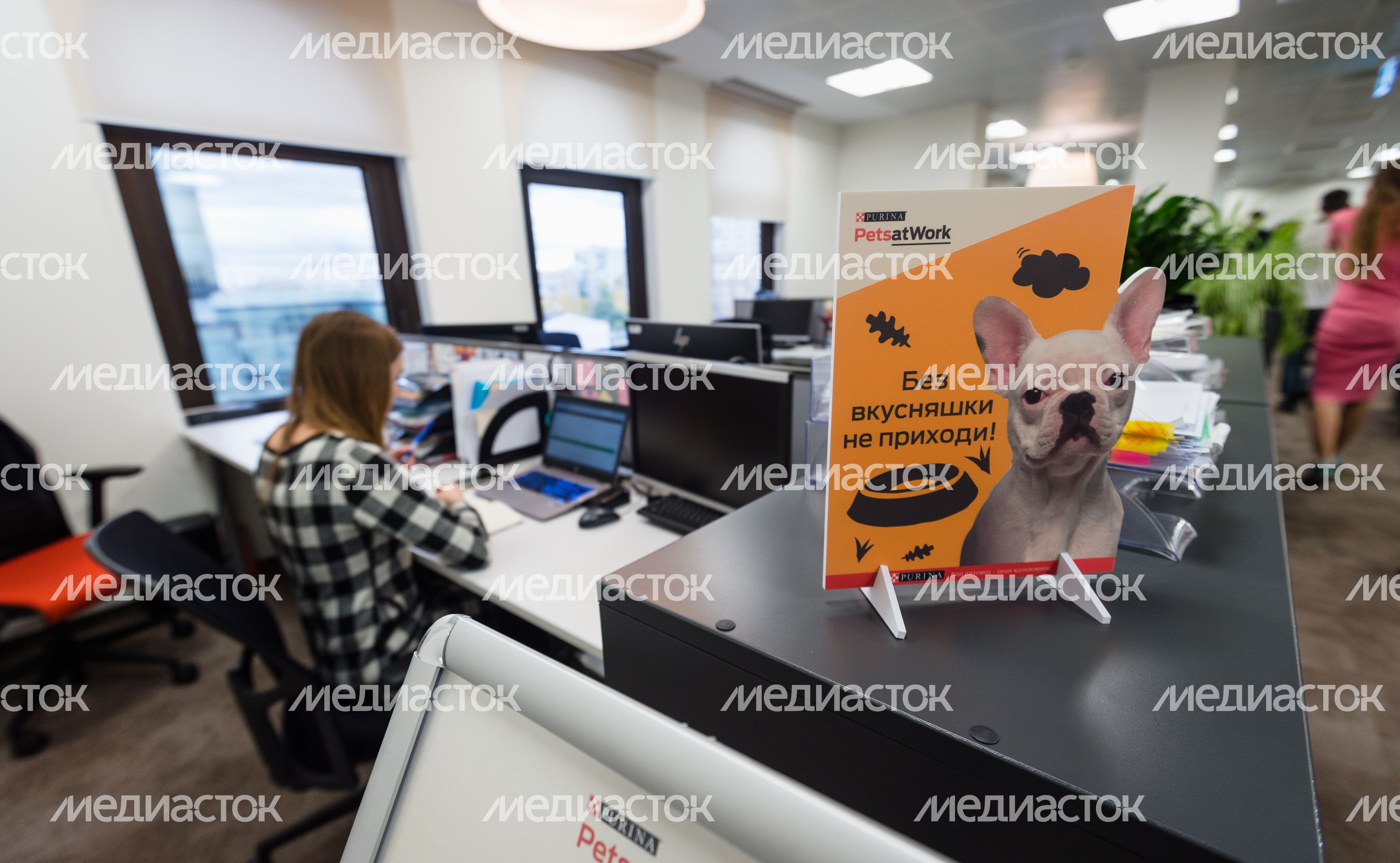Pet‑friendly офис Purina