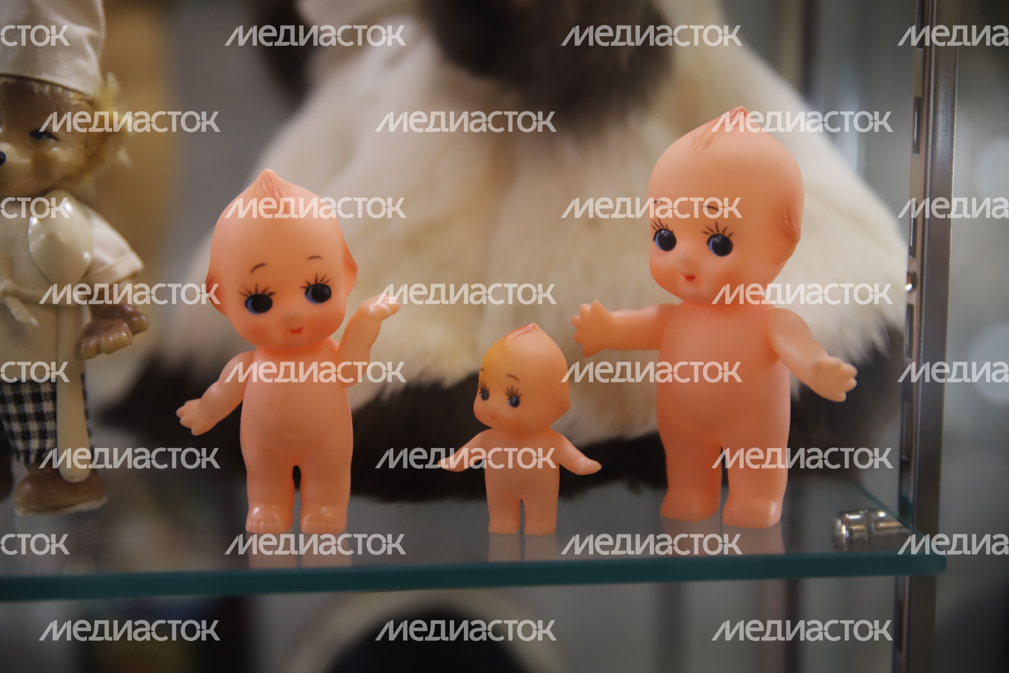 Коломна. "Музей любимой Игрушки" Коломна. "Музей любимой Игрушки"