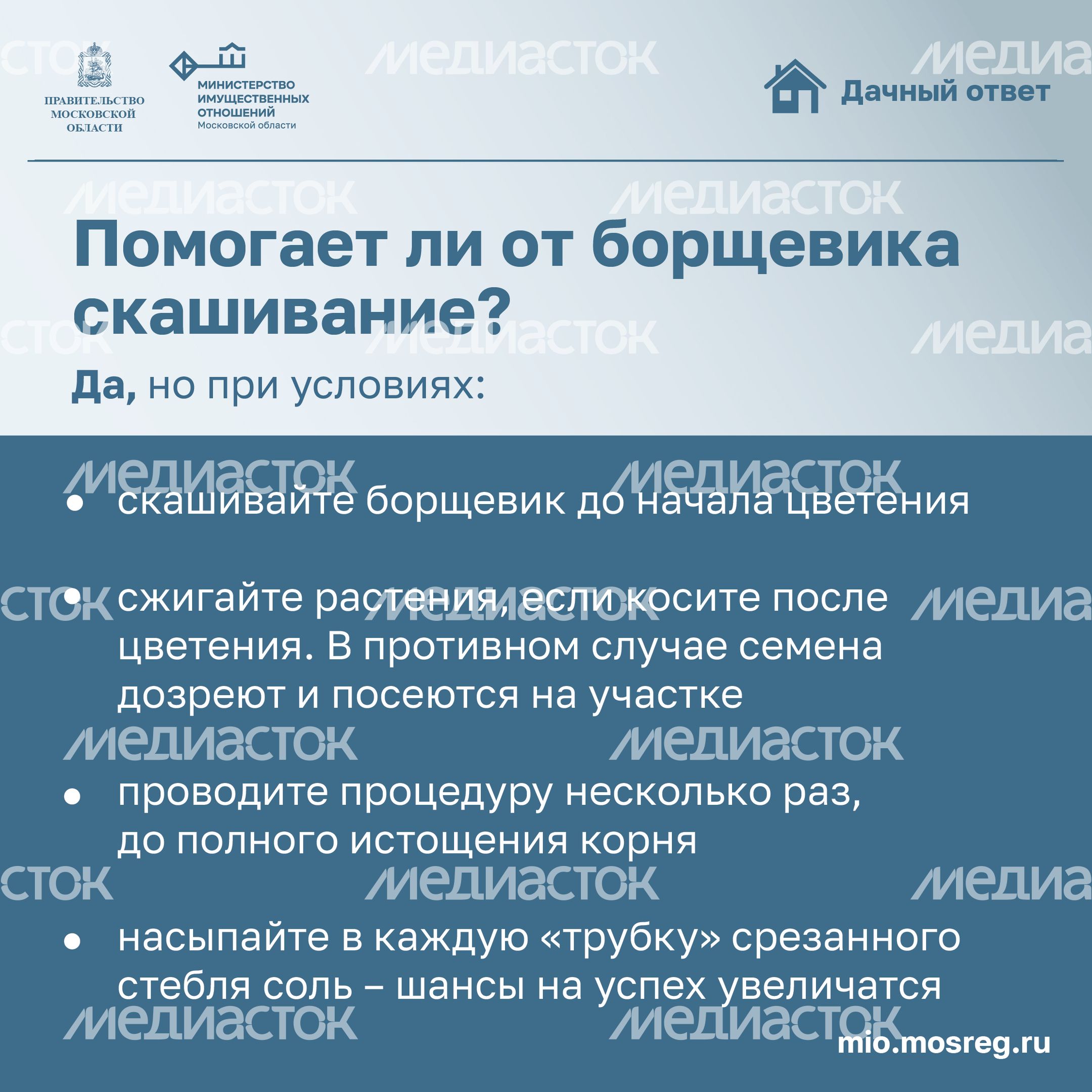 Дачный ответ_борщевик-17.jpg