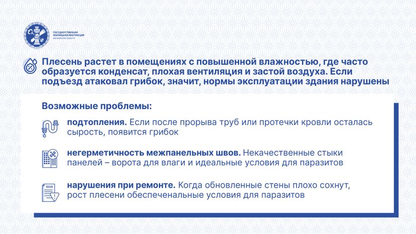 Горизонтали Плесень 03.jpg