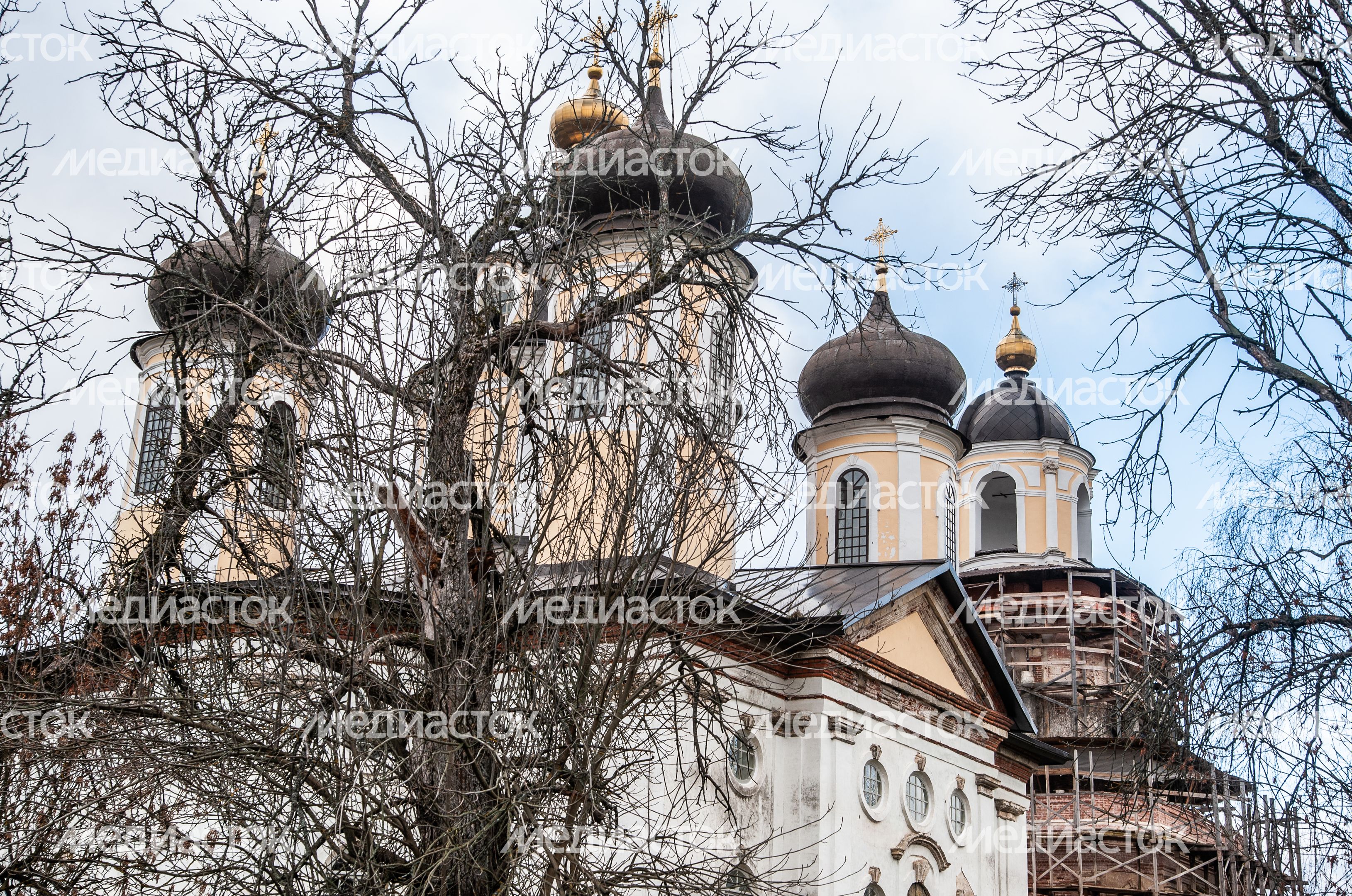 Церковь Преображения Господня в деревне Спасс-Косицы