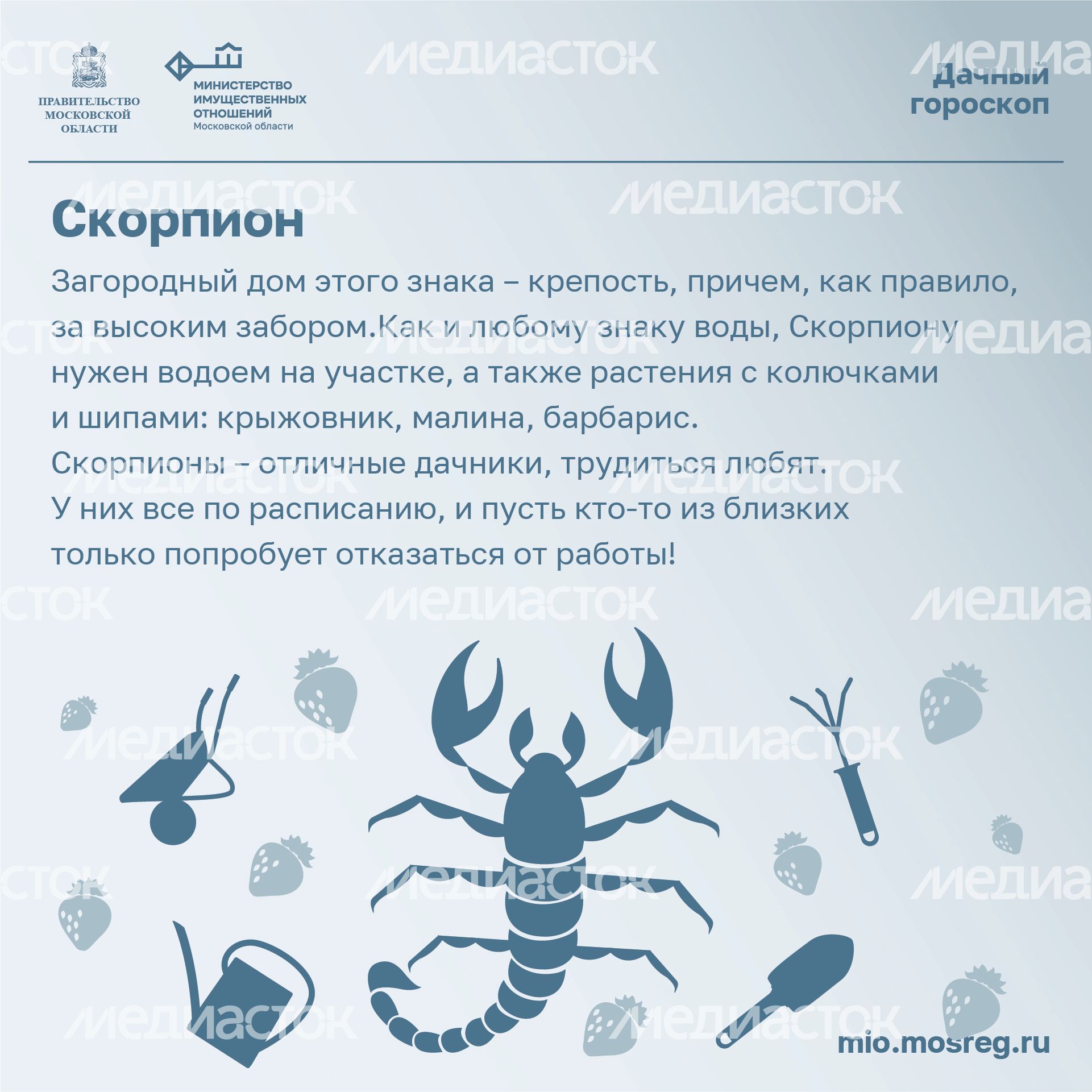 Квадрат_Дачный_гороскоп_08-100.jpg