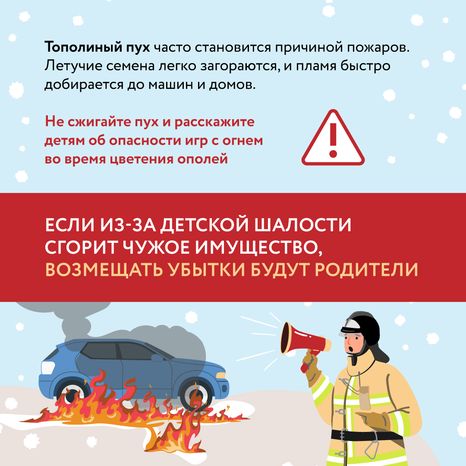 Тополиный пух