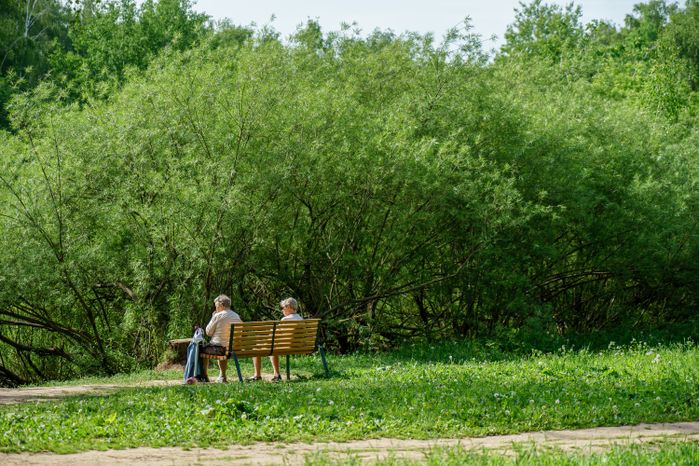 Парк "Городской лес" в Домодедово