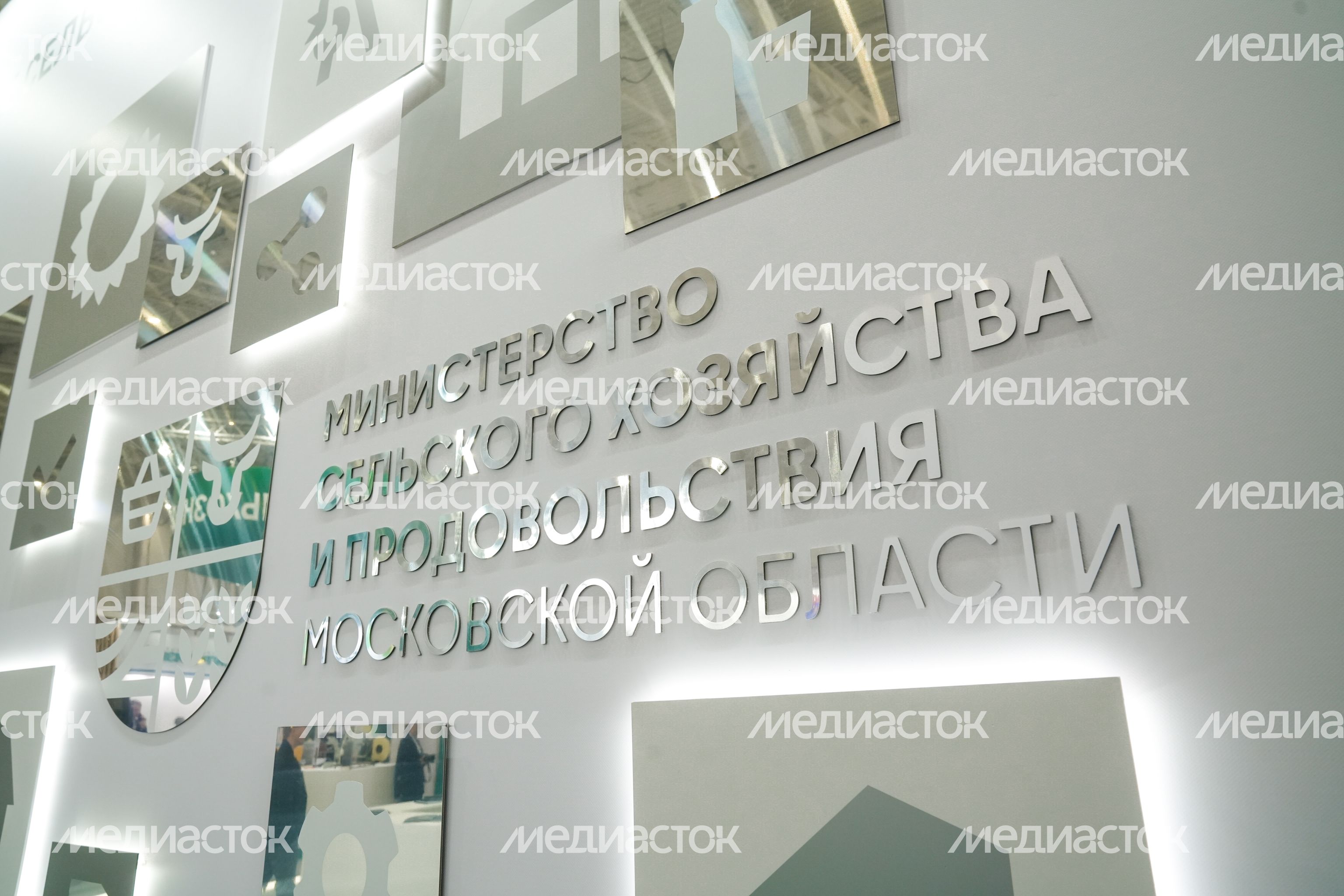 Стенд Подмосковья на выставке "Золотая осень - 2025" Стенд Подмосковья на выставке "Золотая осень - 2025"