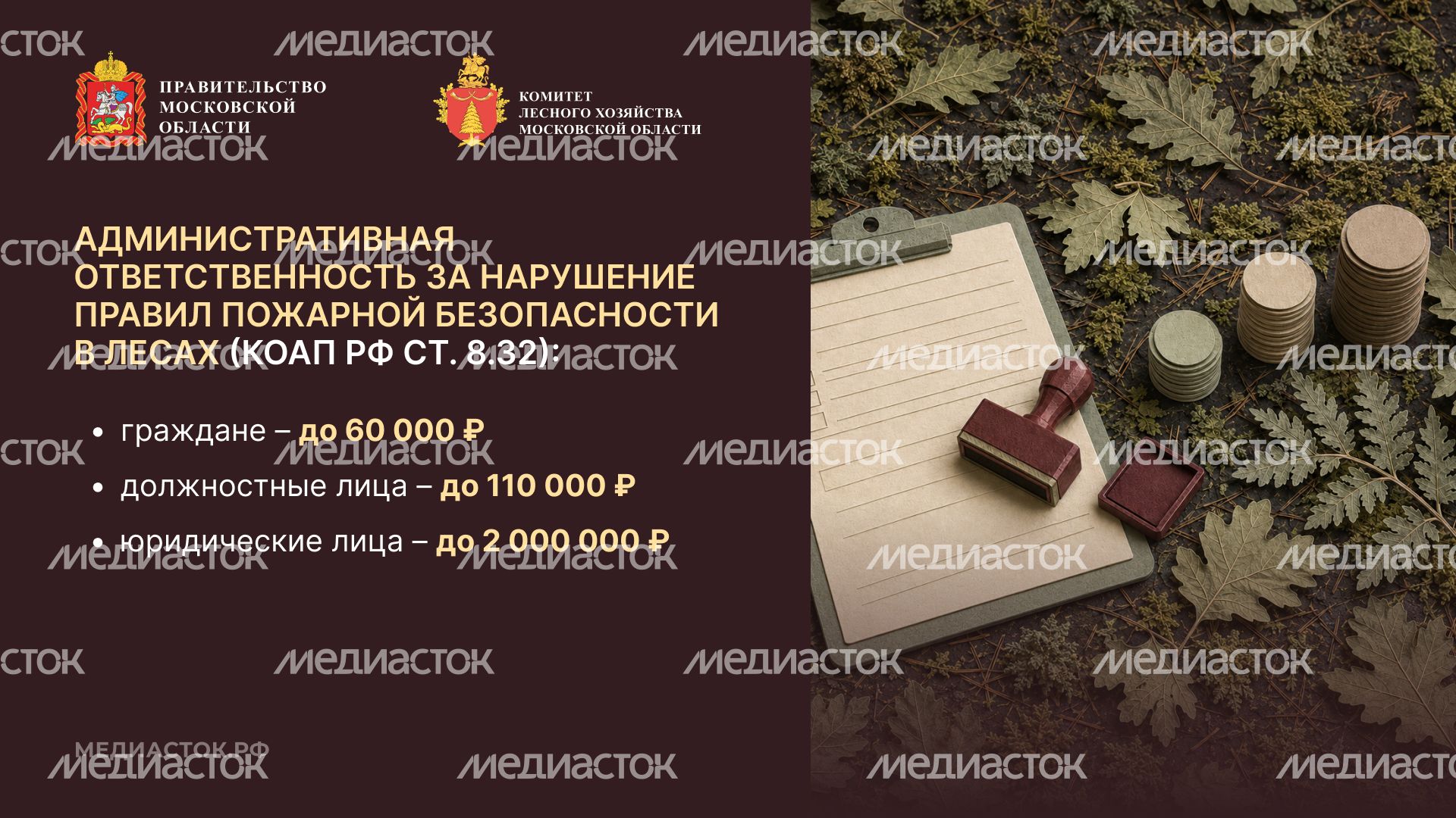 Живете рядом с лесом горизонталь 05