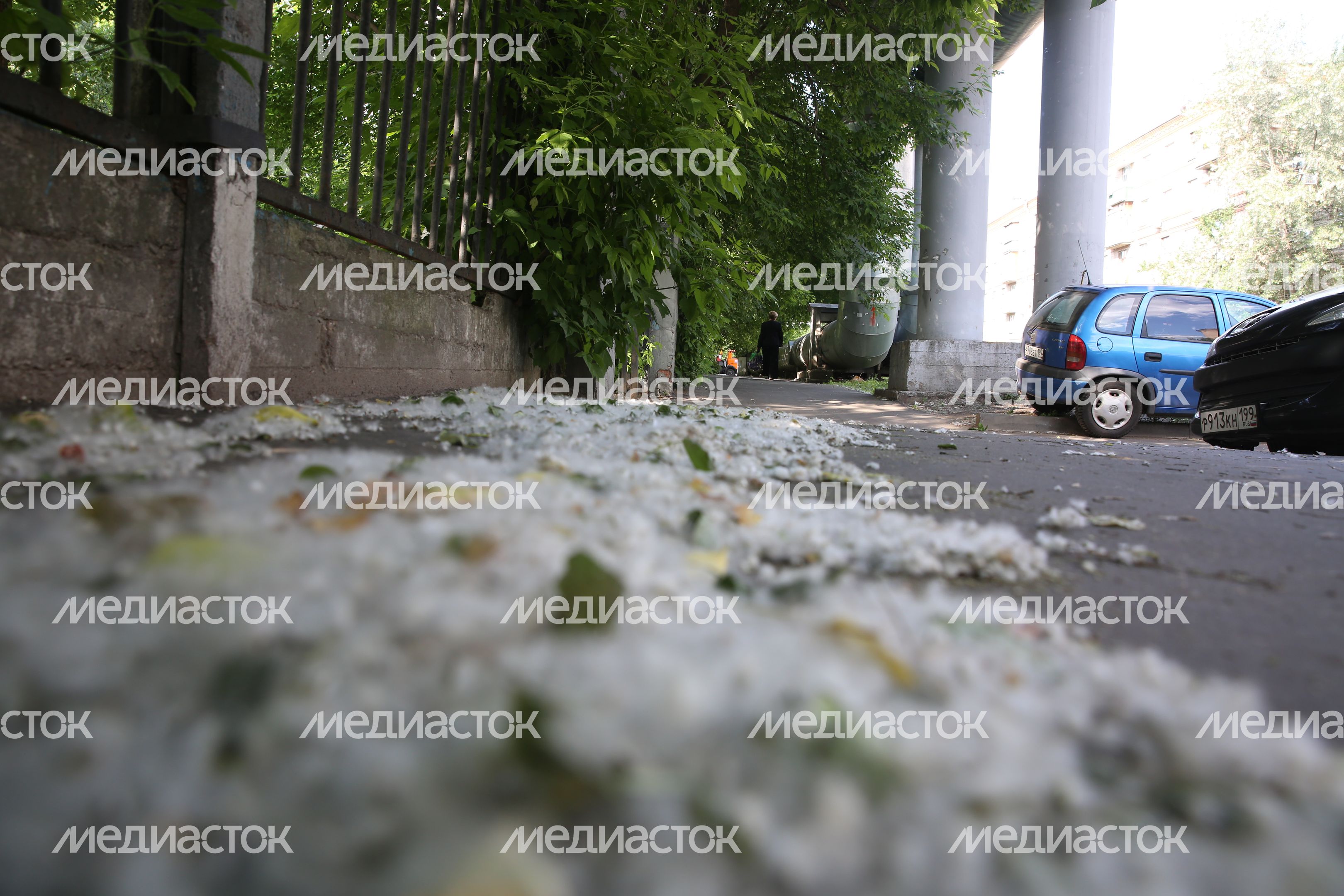 Тополиный пух на улице в Москве