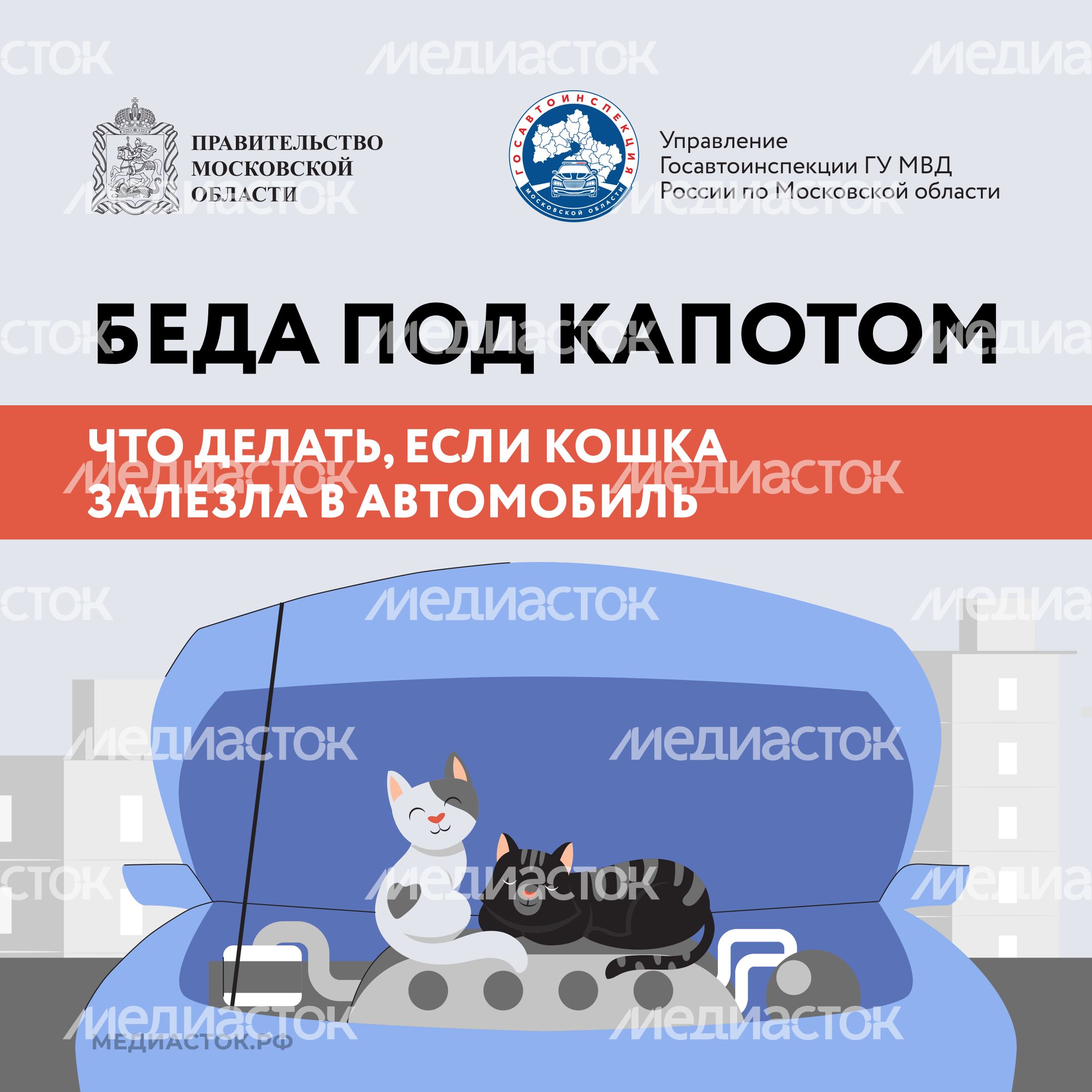 Беда под капотом квадрат 01
