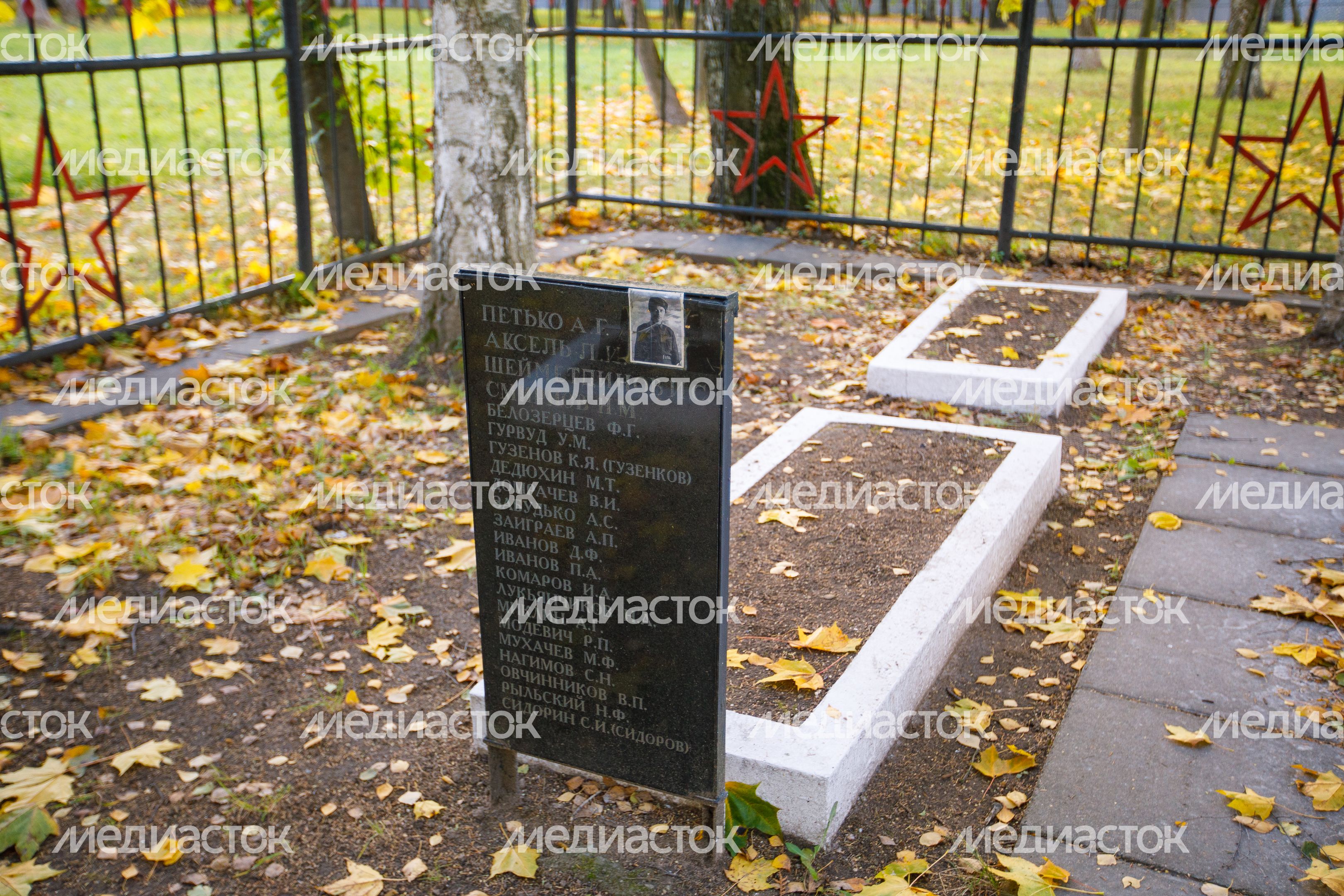 Краснознаменск. Братская могила Краснознаменск. Братская могила