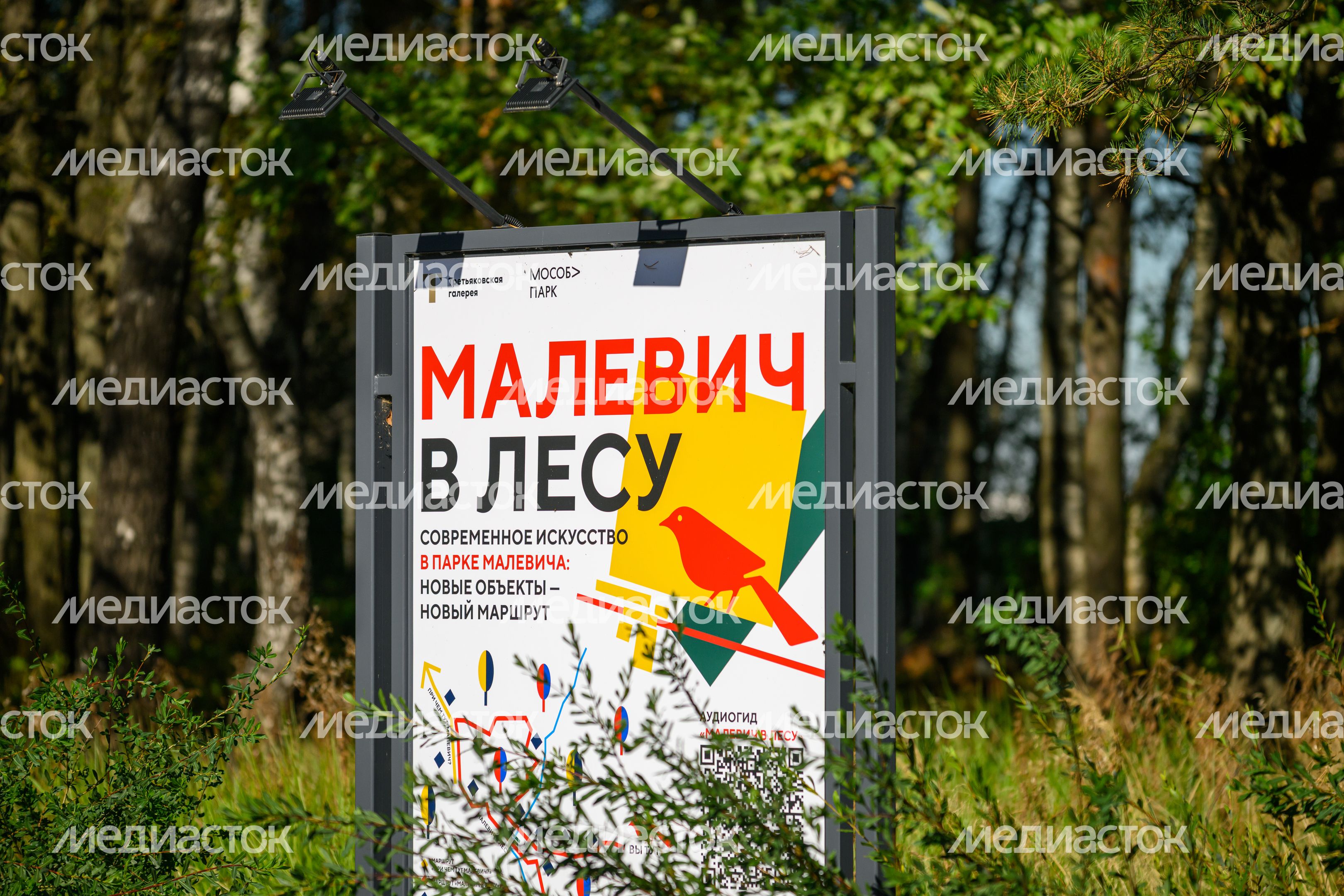 Прогулка по парку Малевича осенью