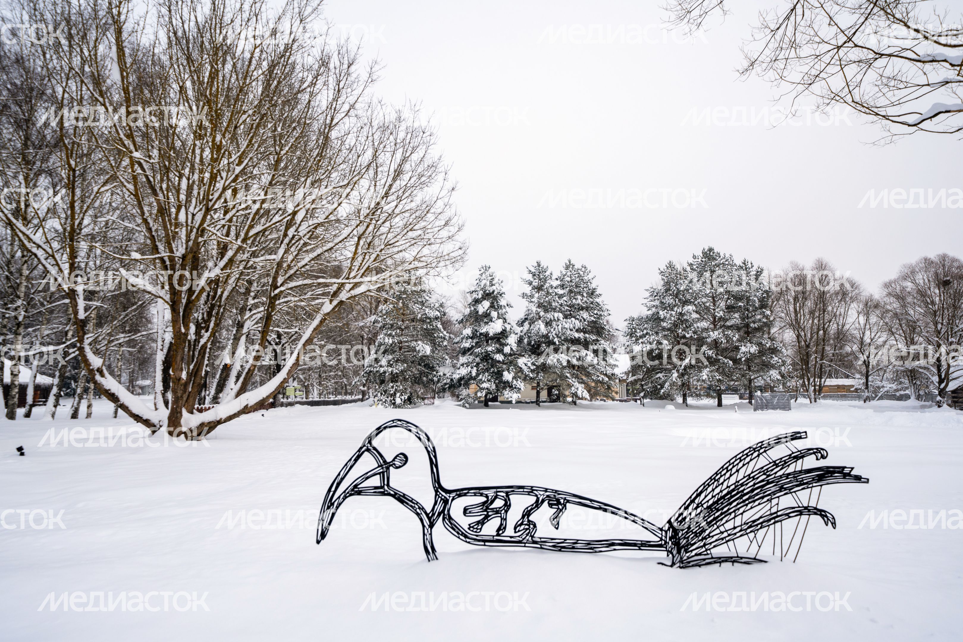 Зимний пейзаж в музее-заповеднике А.П. Чехова «Мелихово» округа Чехов Зимний пейзаж в музее-заповеднике А.П. Чехова «Мелихово» округа Чехов