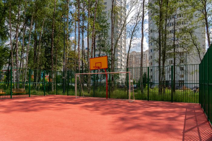 Губернский лесопарк в Чехове летом