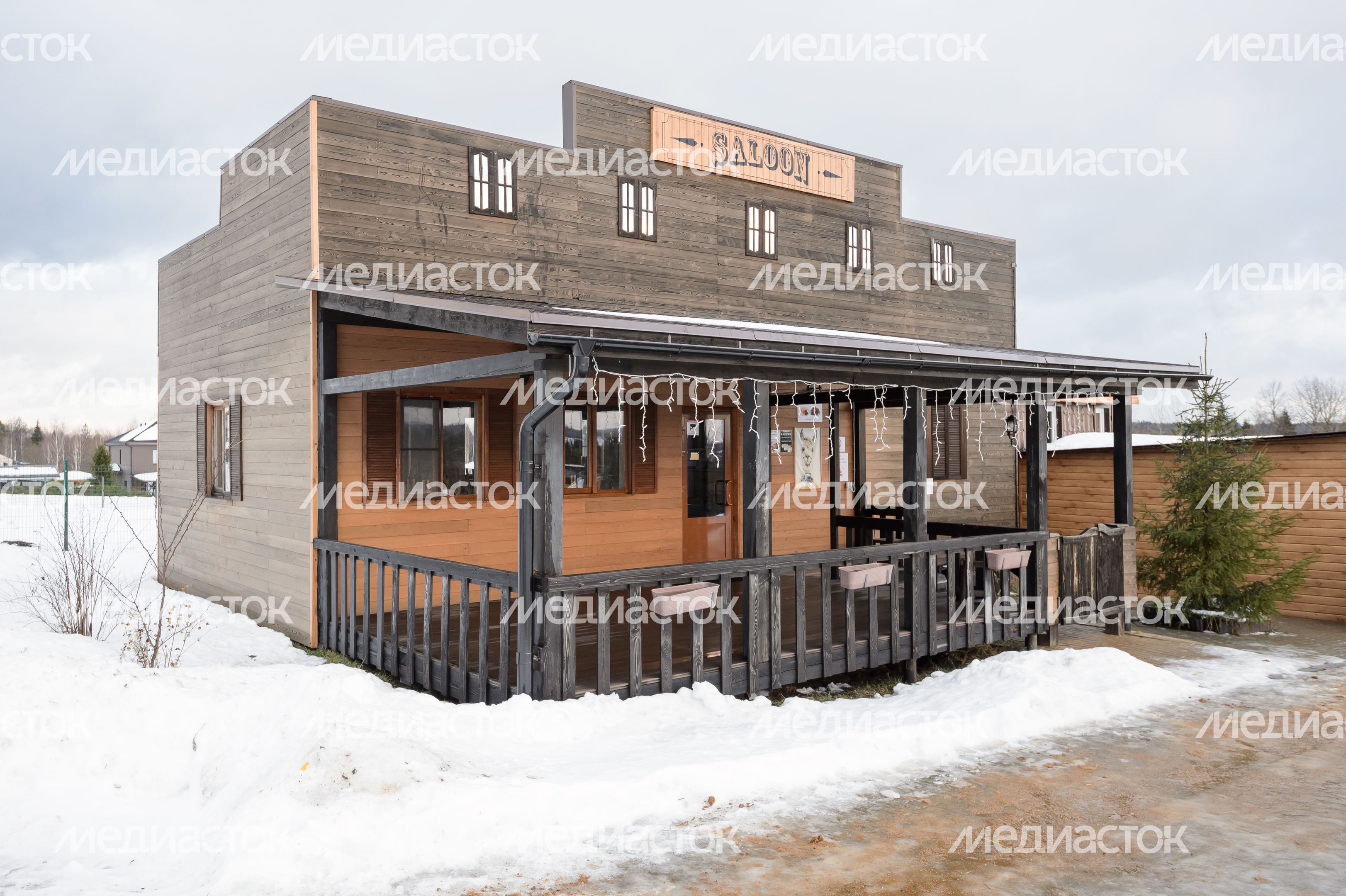 Дмитров. Экоферма «Российские альпаки» Дмитров. Экоферма «Российские альпаки»