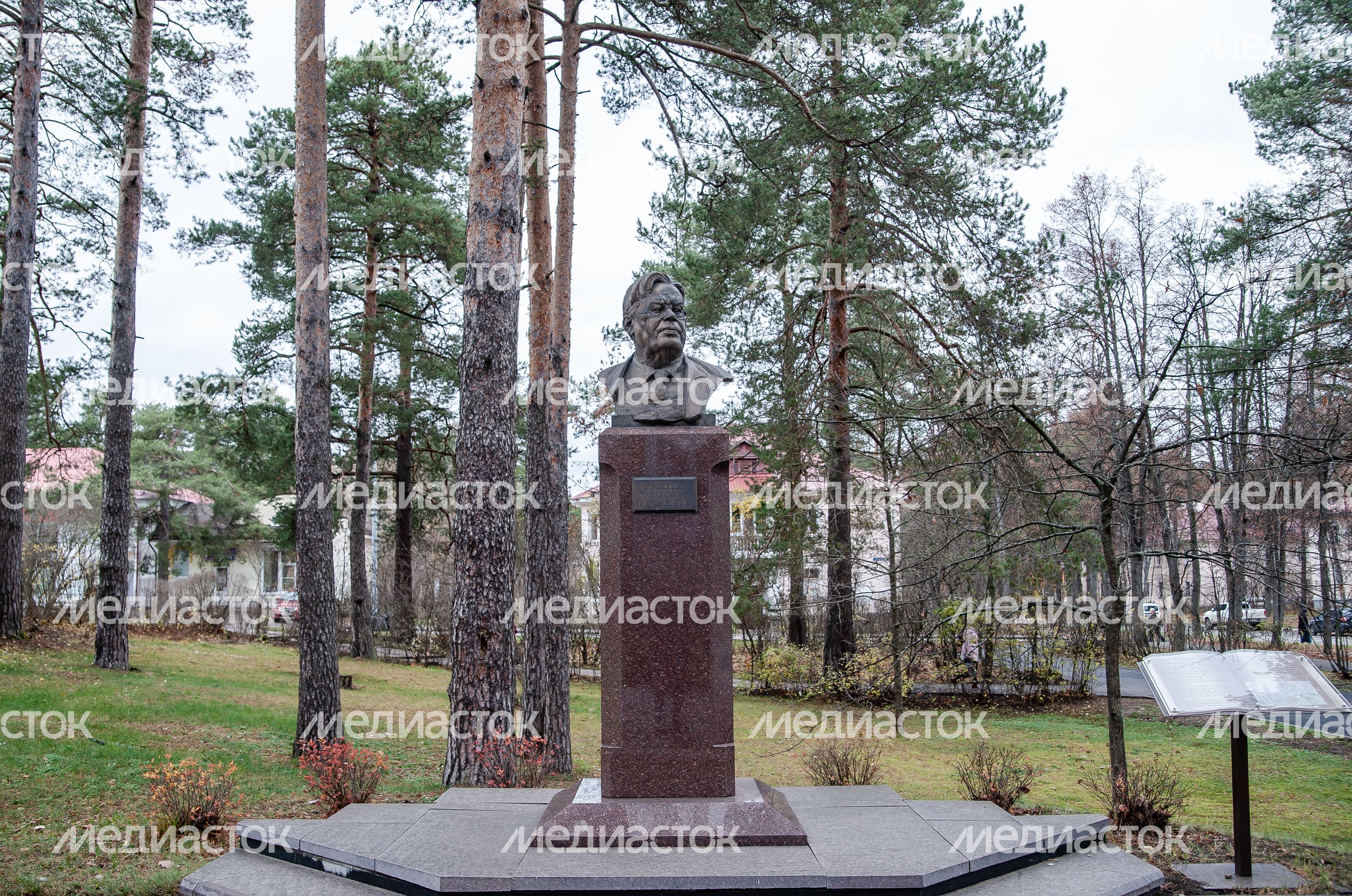 Виды города Дубна