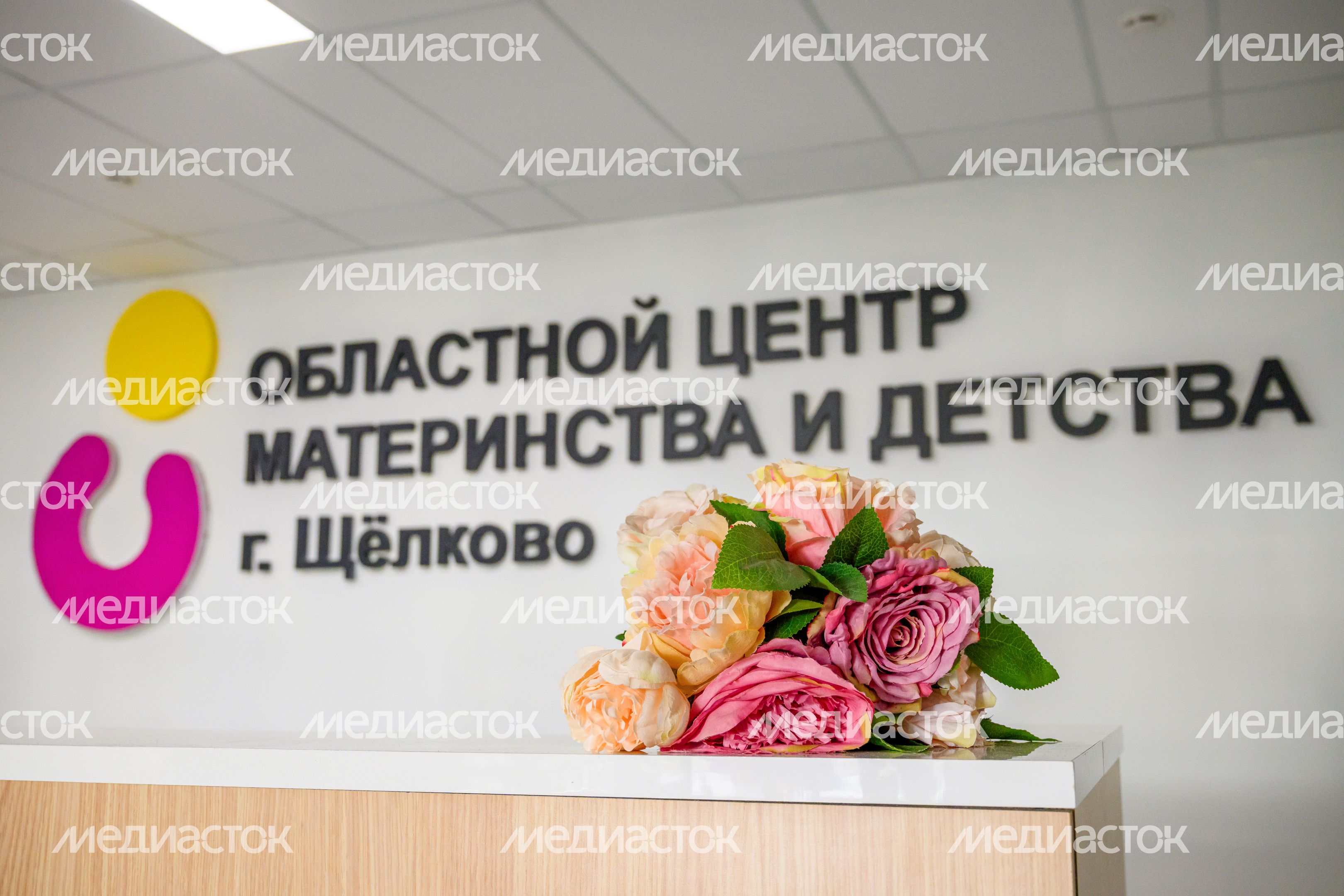 Щелковский перинатальный центр в Подмосковье Щелковский перинатальный центр в Подмосковье