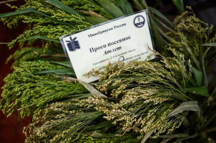 Научно-практический форум "Агрополигон-2024" в Домодедово