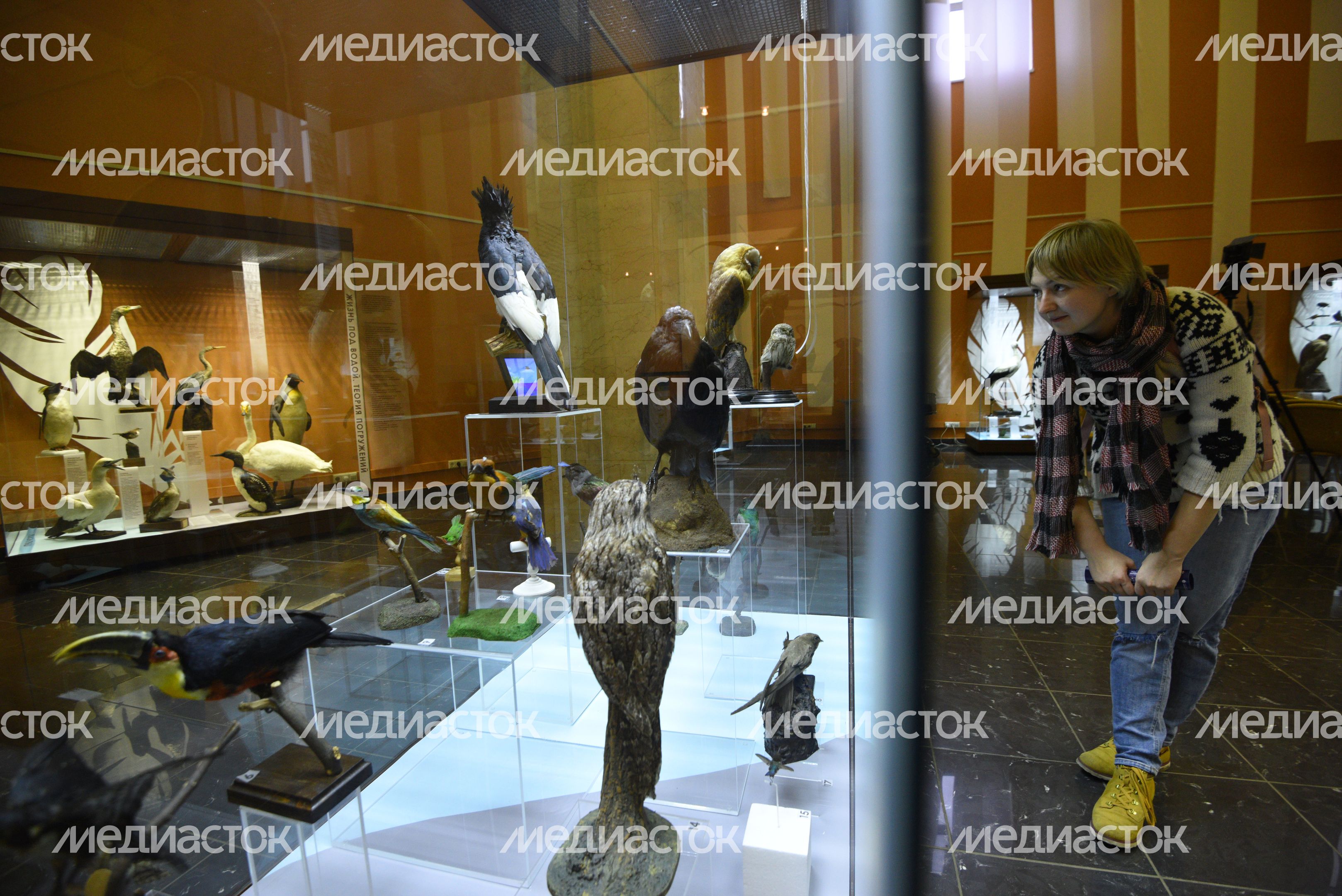Государственный Дарвиновский музей