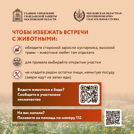 Что делать при встрече с диким животным квадрат 06