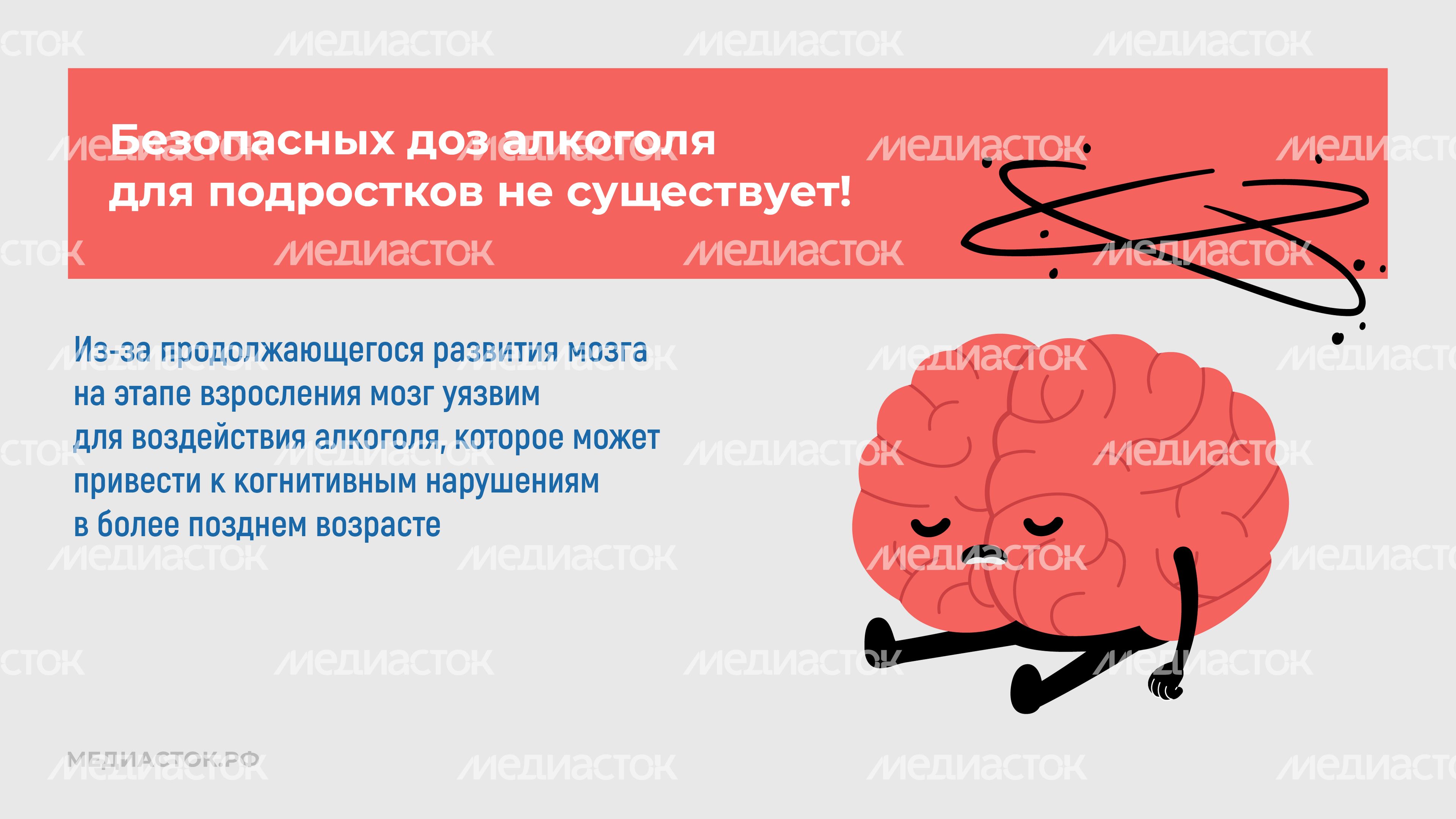 Алкоголь и развитие мозга горизонталь 09 Алкоголь и развитие мозга горизонталь 09