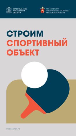 Обложка Строим спортивный объект Вертикаль 01