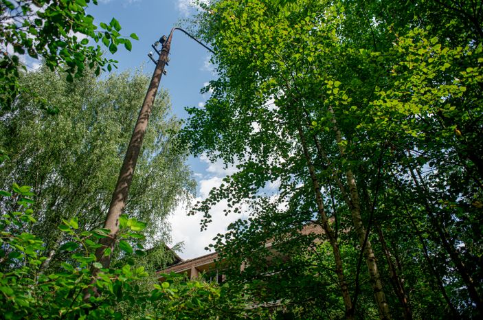 Летние виды заброшенного пансионата «Жемчужина»
