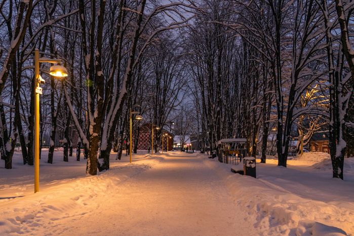 Зимние виды города Руза