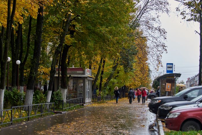 Осень в Подмосковье