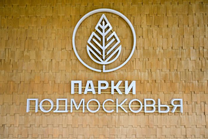 Лесопарк «Волхонка» осенью в Ногинске Богородского округа