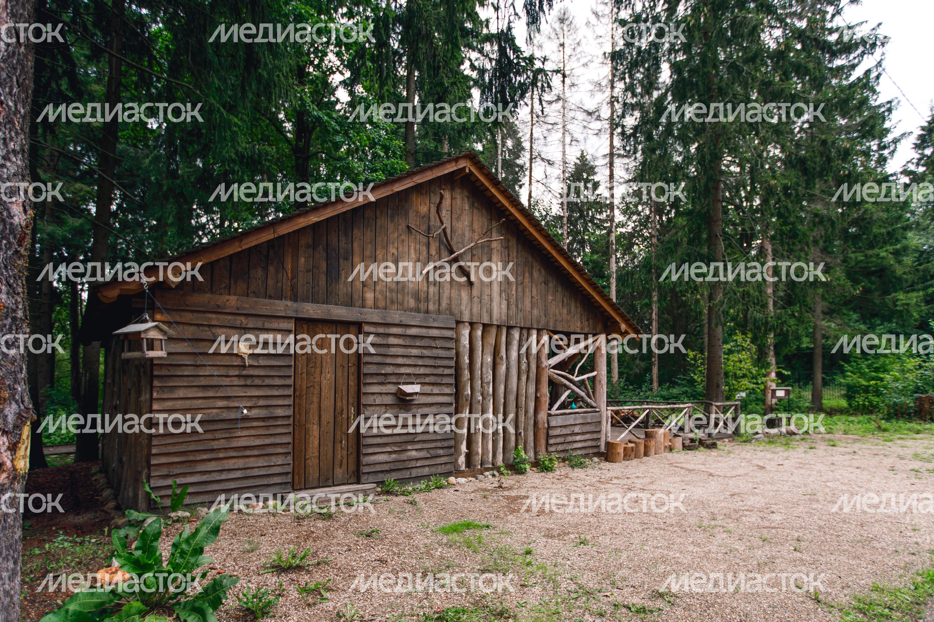 Сергиев Посад. Парк «Дубрава»