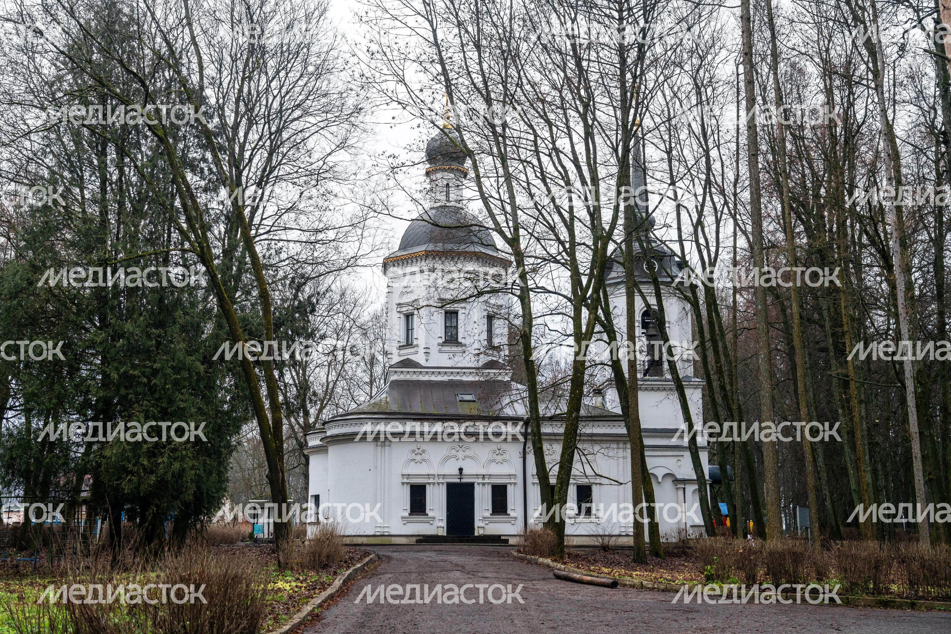 Церковь Рождества Пресвятой Богородицы в деревне Васькино округа Чехов Церковь Рождества Пресвятой Богородицы в деревне Васькино округа Чехов