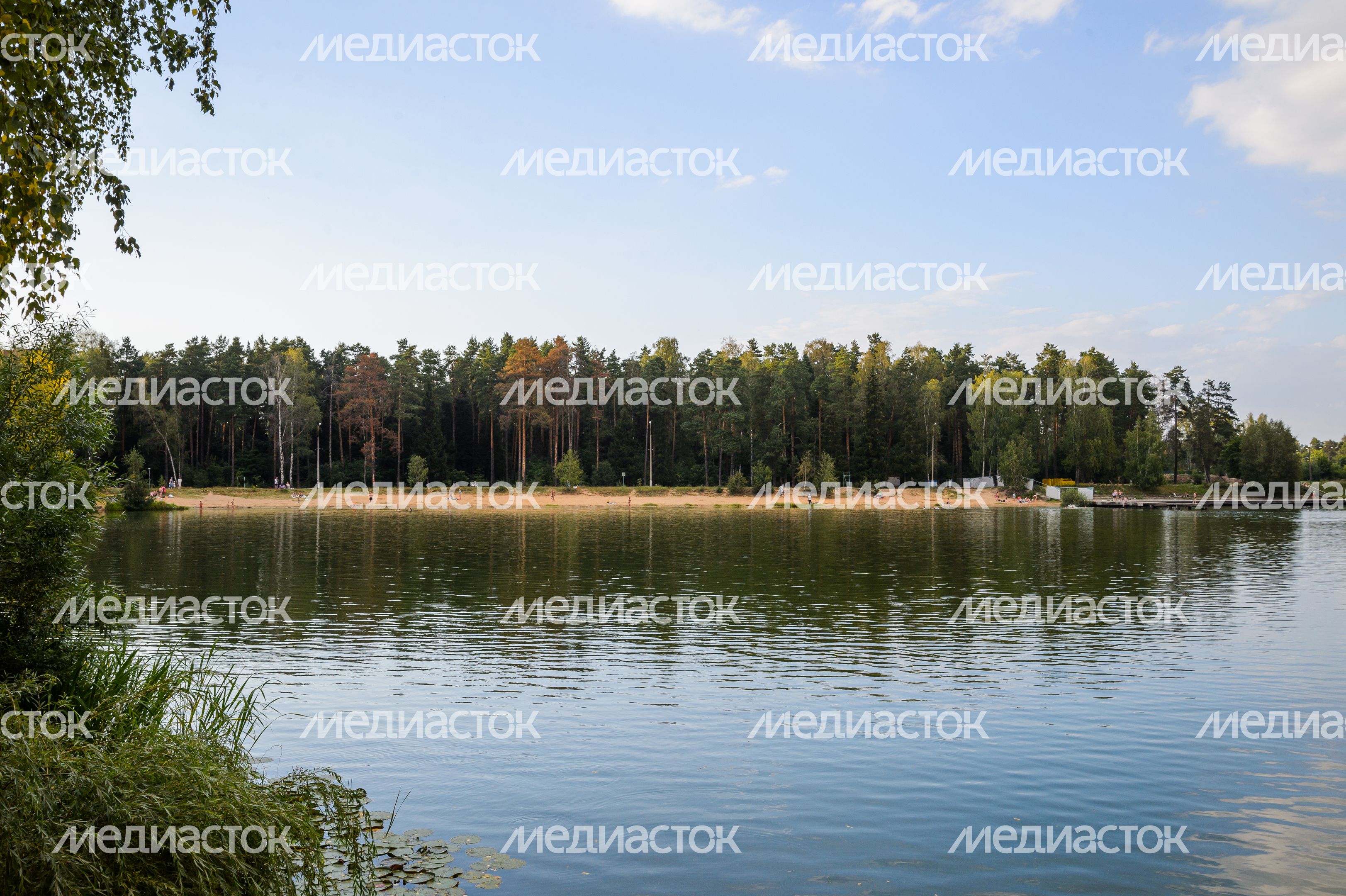 Черноголовка. Озеро Южное