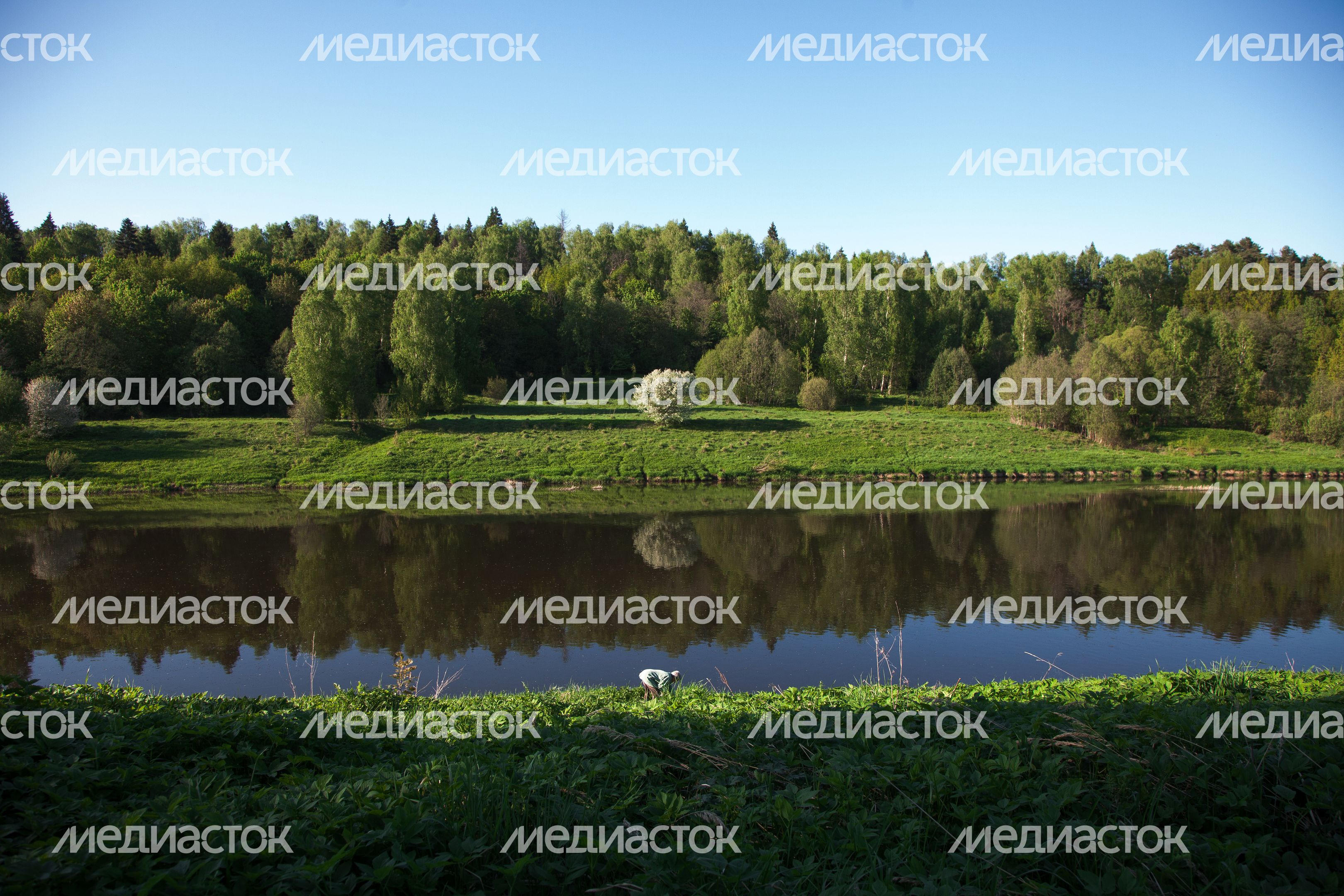 Природа Подмосковья: берег Москвы-реки в Тучково Рузского округа