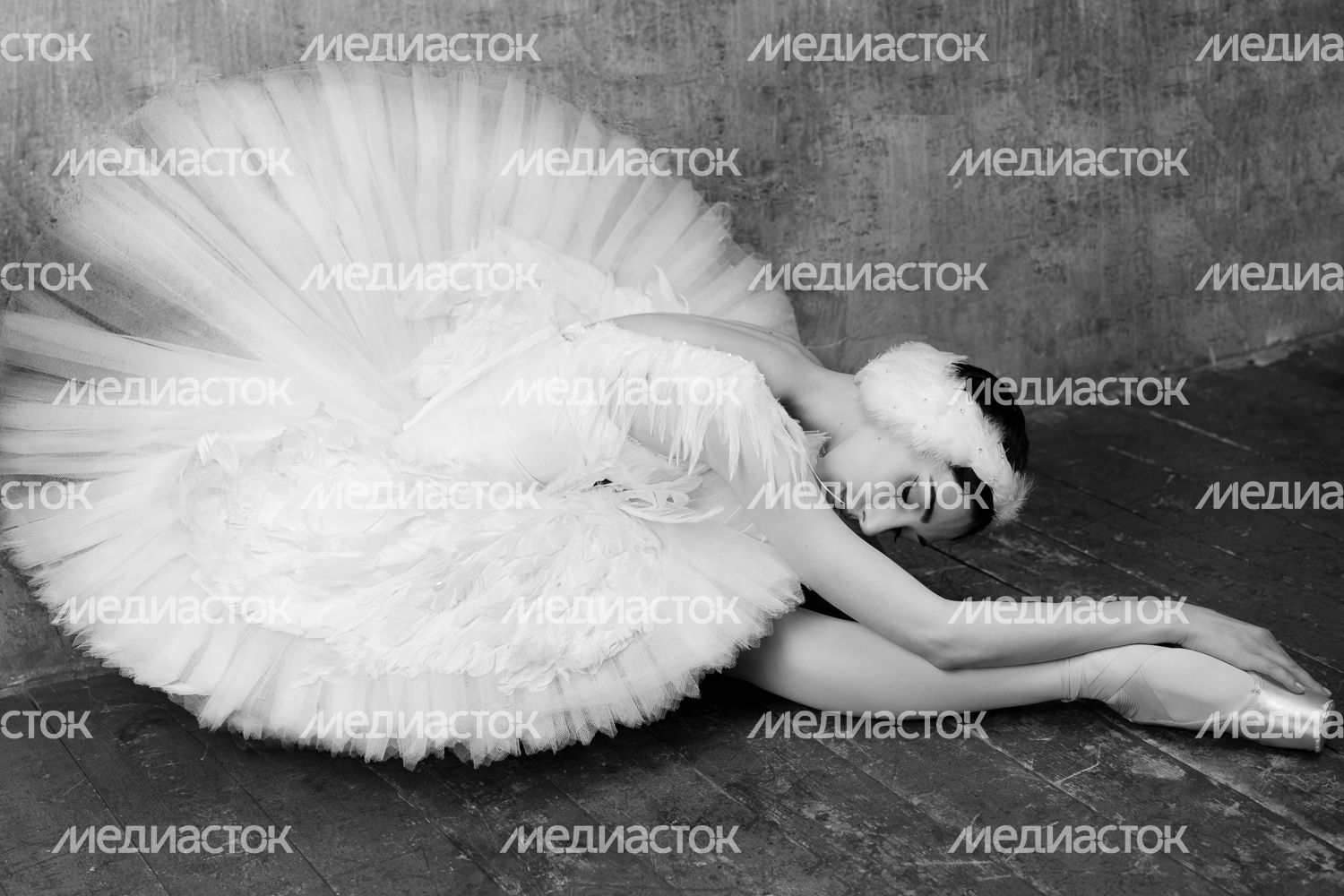 Открытие фотовыставки «Русский балет: мгновения» в Красногорске Открытие фотовыставки «Русский балет: мгновения» в Красногорске