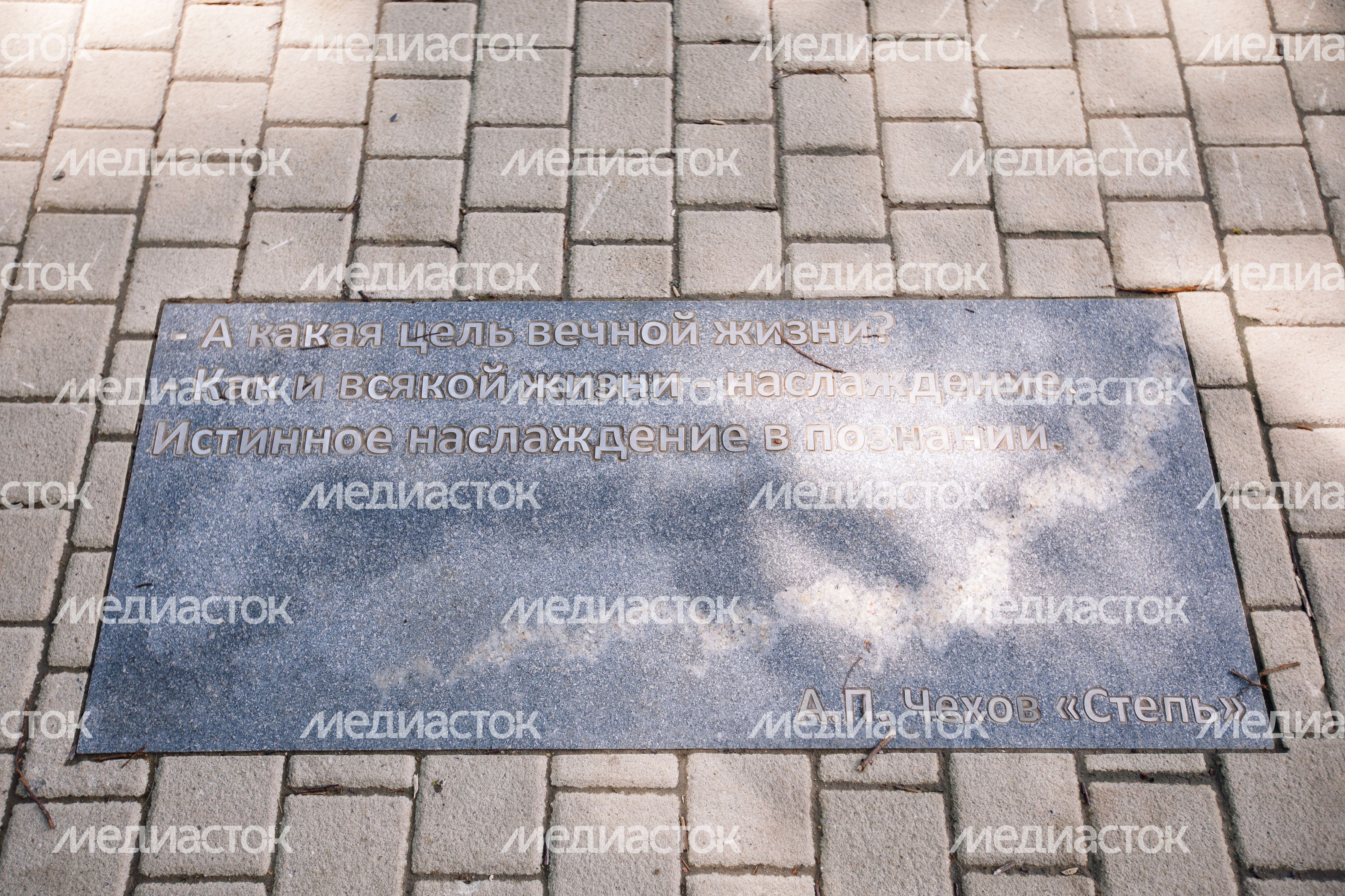 Звенигород. Липа Чехова Звенигород. Липа Чехова