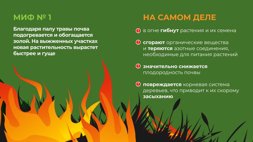 пал_гор_2.jpg