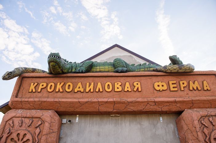 Коломна. Улиточная ферма