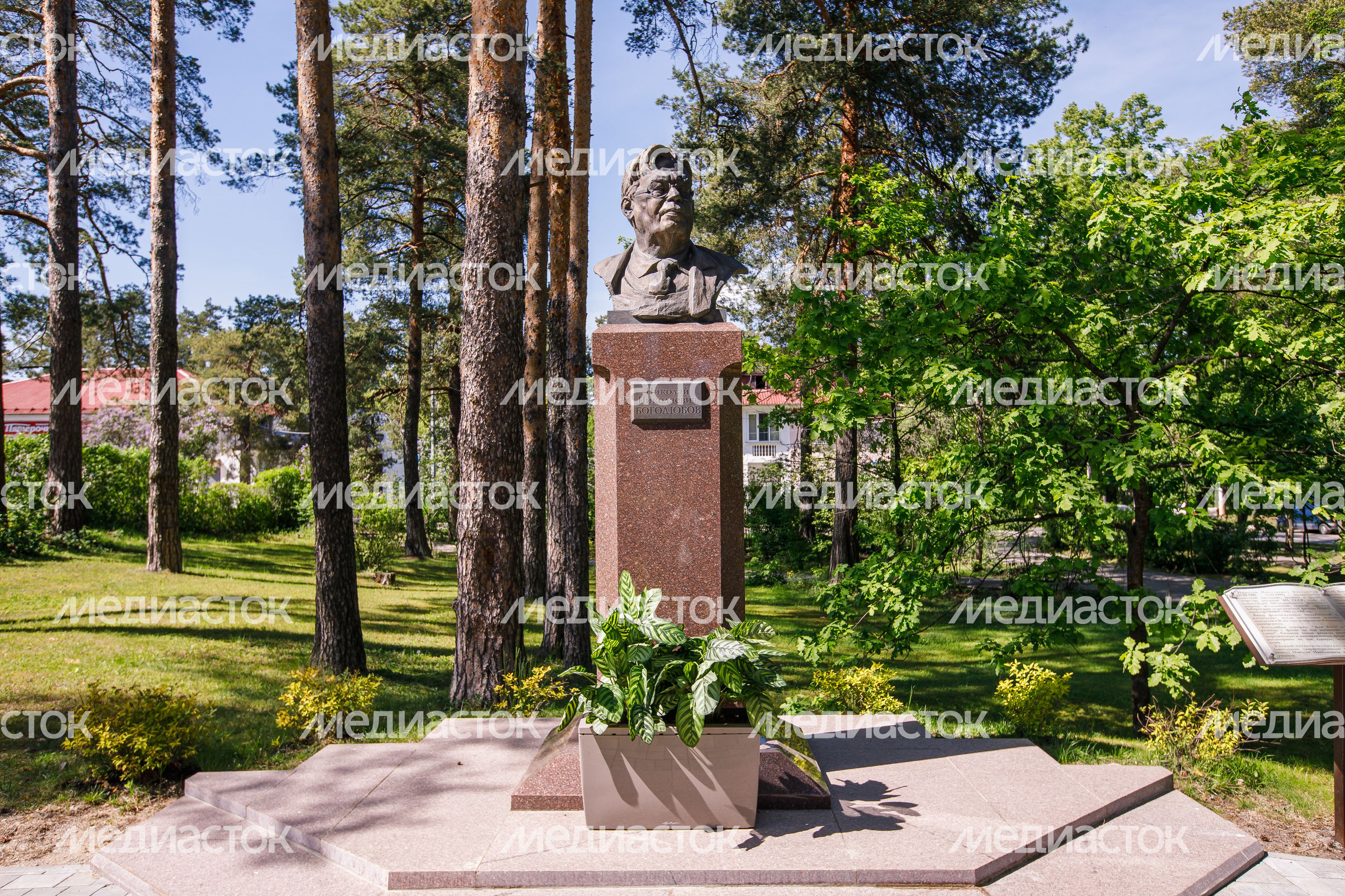 Виды города Дубна